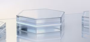 How to Choose the Right Spend Audit Provider to Eliminate Hidden Costs