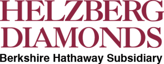 Company Icon