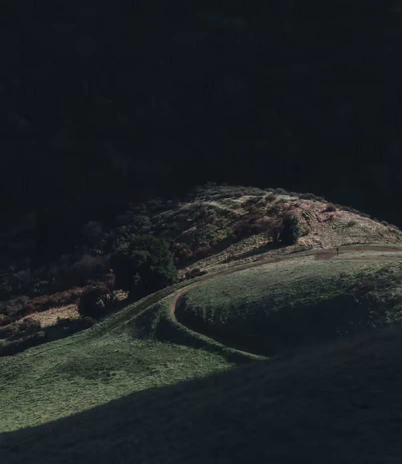 Hilly landscape with a winding dirt path, patches of grass, and scattered trees under shadow.
