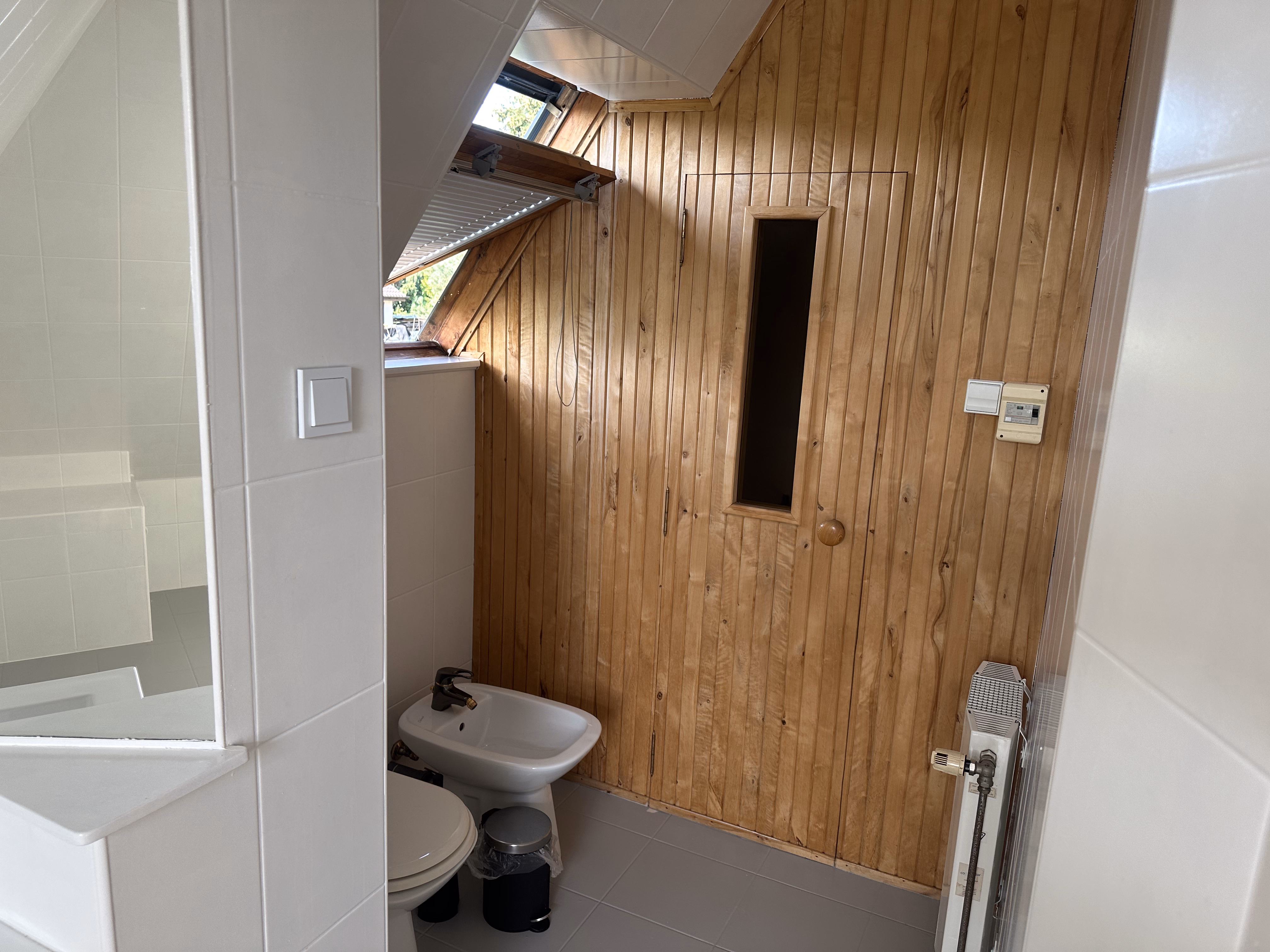 scenic landscapes for a travel tech business