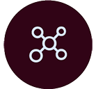 White molecular structure icon with five connected nodes inside a maroon circle.