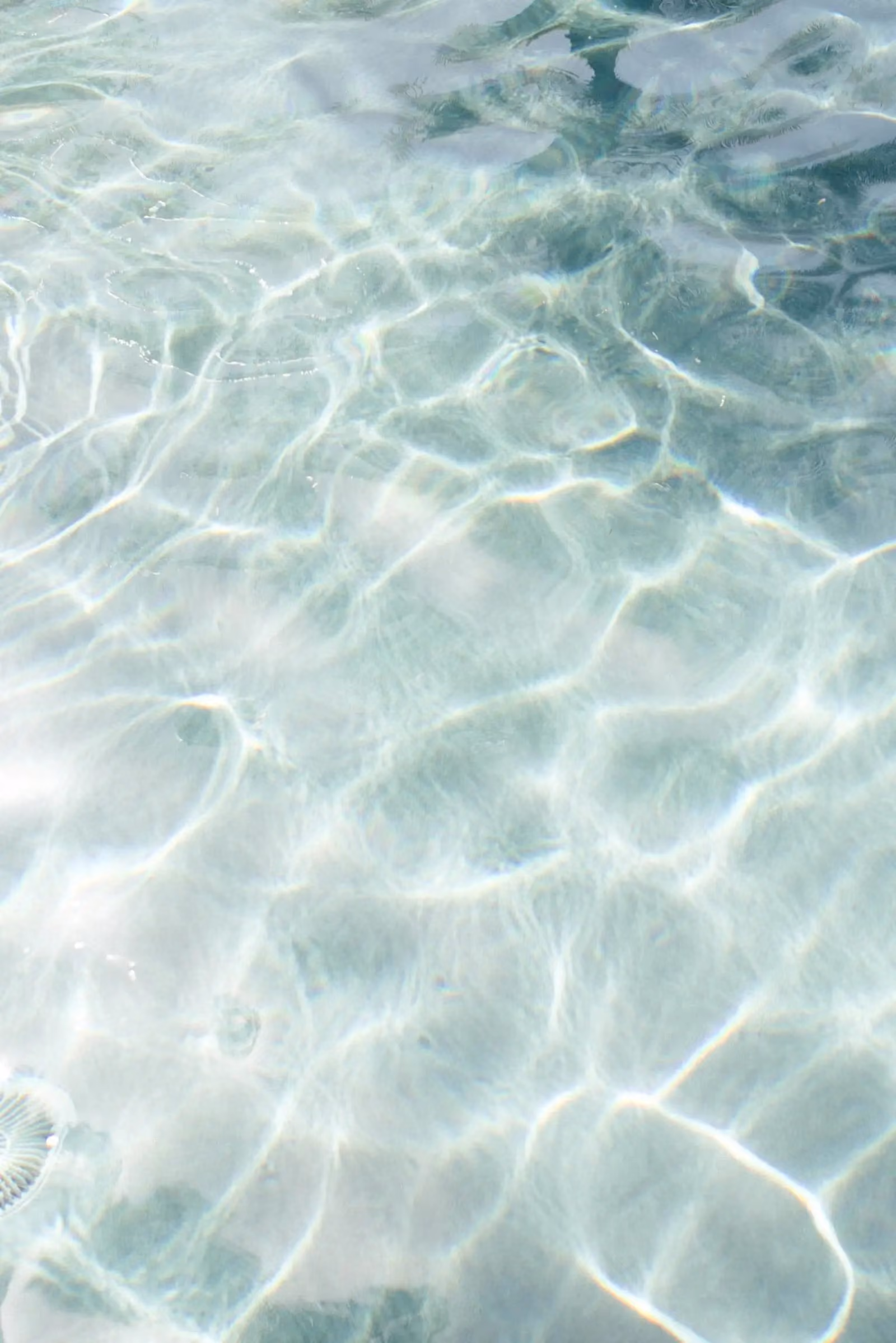 Clear water surface with light reflections creating a rippling pattern.