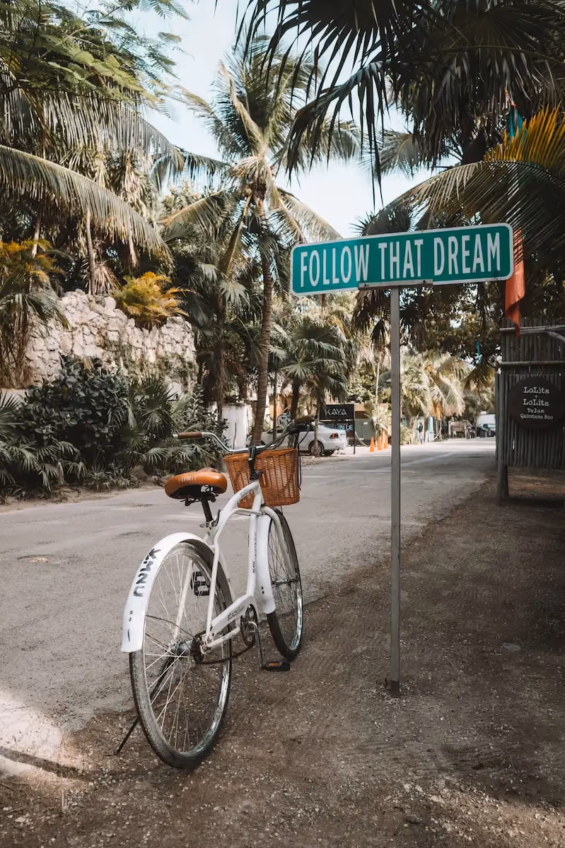 White bicycle with a brown seat and front basket parked on a dirt road next to a green street sign that reads 'FOLLOW THAT DREAM', surrounded by palm trees and tropical plants.