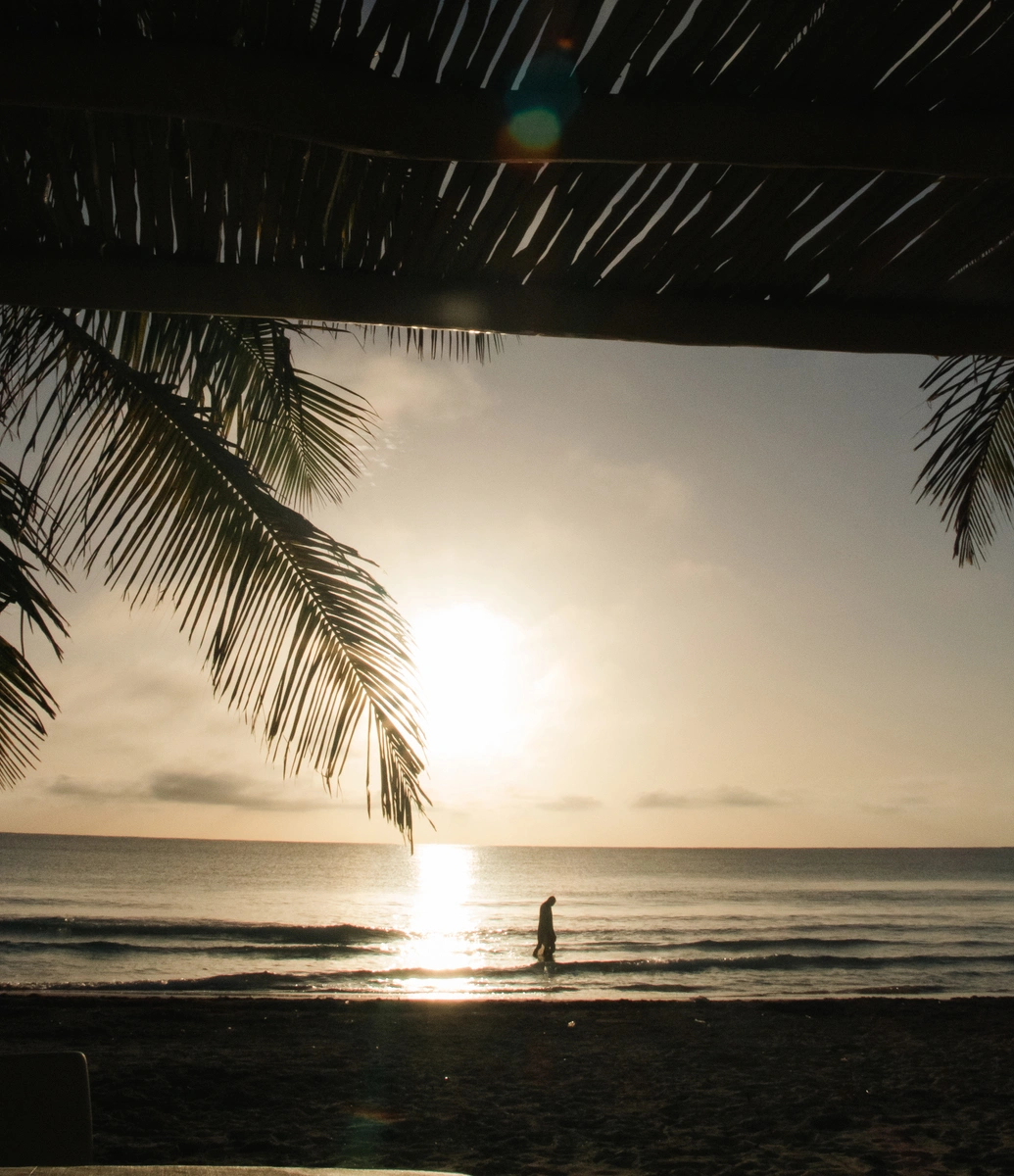 Silhouette of a person walking along the shore during a sunset over calm ocean waters, framed by palm tree leaves and a shaded overhang above.
