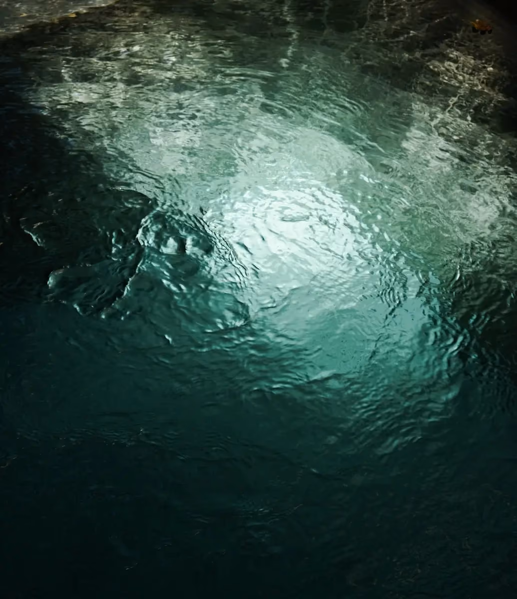 Surface of a dark greenish body of water with ripples and light reflecting off it.