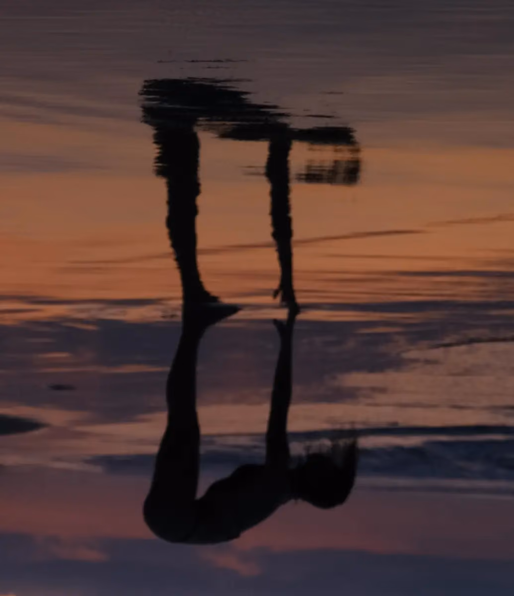 Silhouette of a person reflected in calm water at sunset, the water surface creating a wavy, distorted reflection against an orange and purple sky.