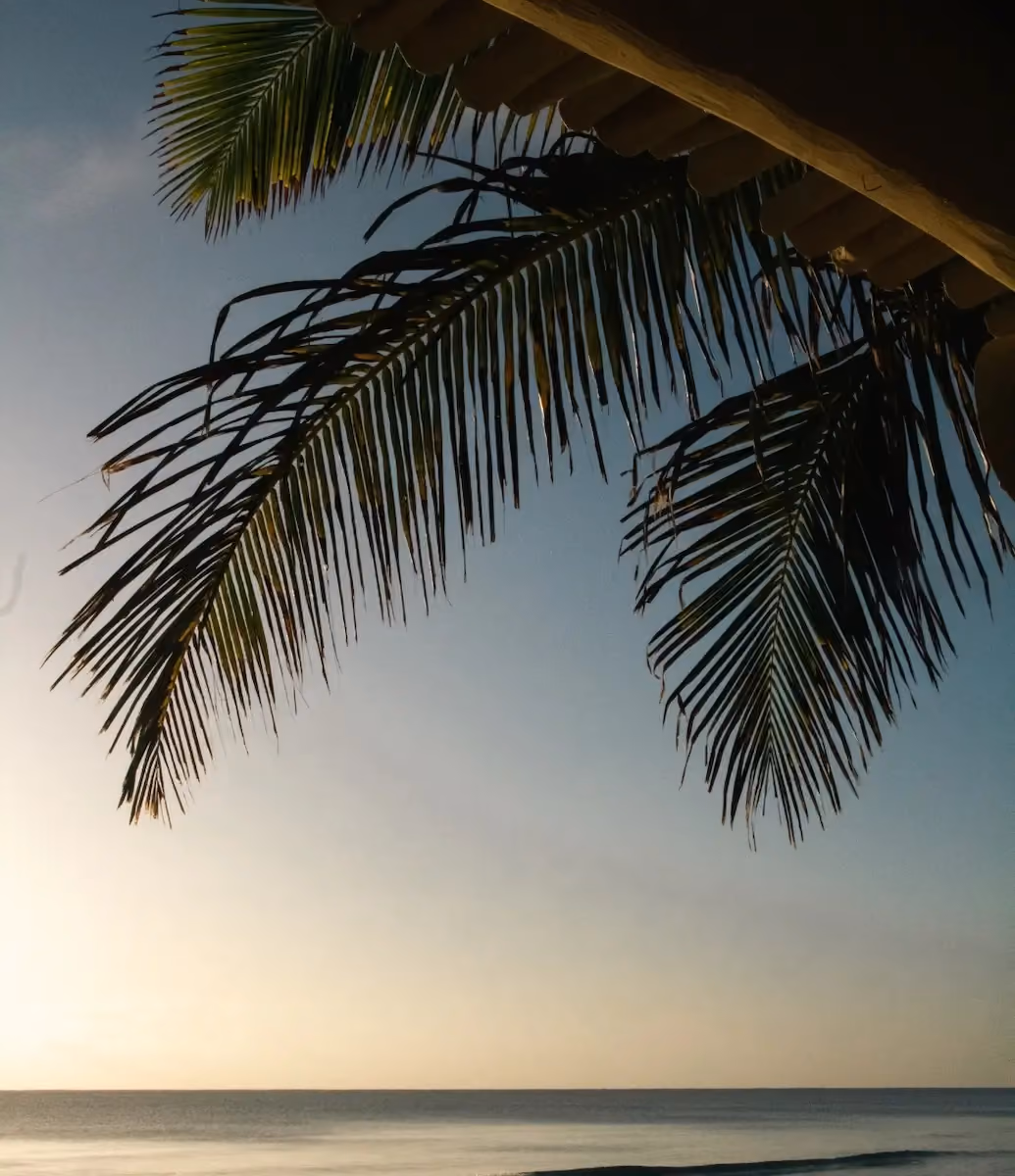 Palm tree fronds and a thatched roof silhouette against a calm ocean and clear sky at sunset.