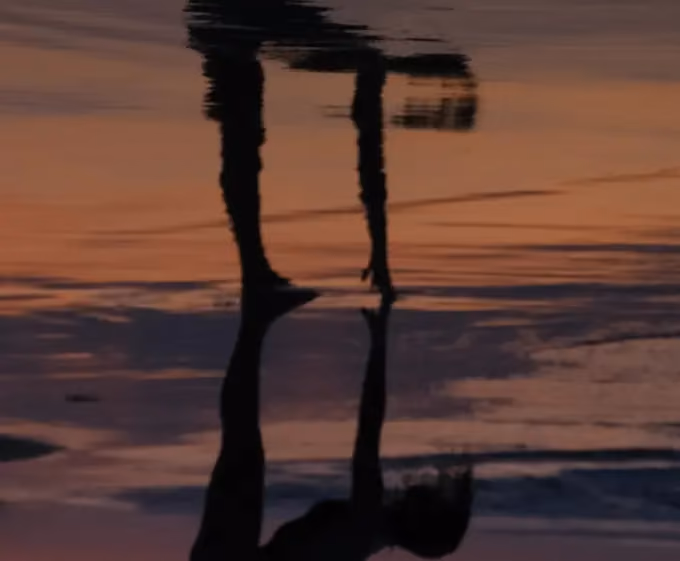 Silhouette reflection of a person holding a basket while standing on wet sand during sunset.