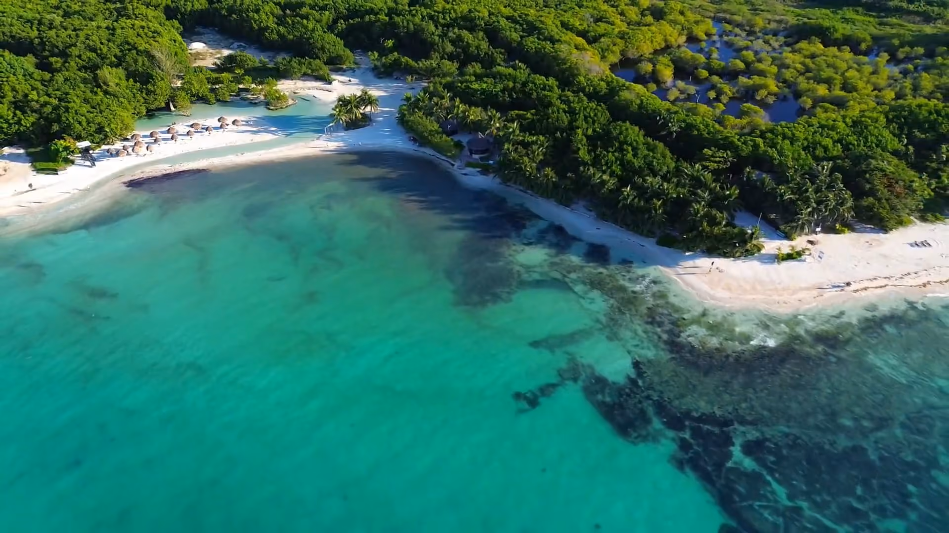 Aerial view of a tropical beach with clear turquoise water, patches of dark coral or seaweed, sandy shore lined with palm trees, and several thatched umbrellas near the edge of dense green vegetation.
