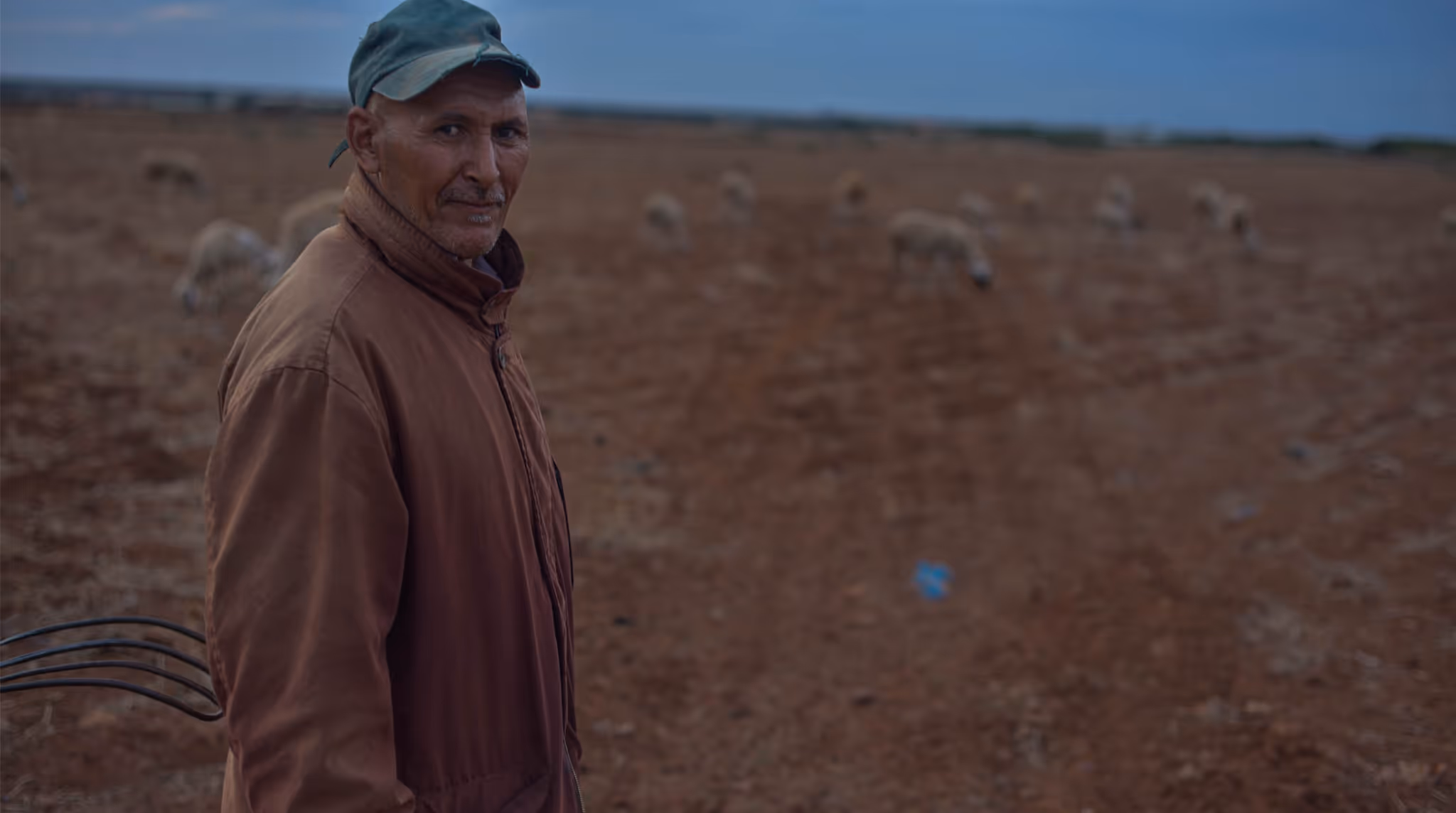 Fårehyrde fra Marokko