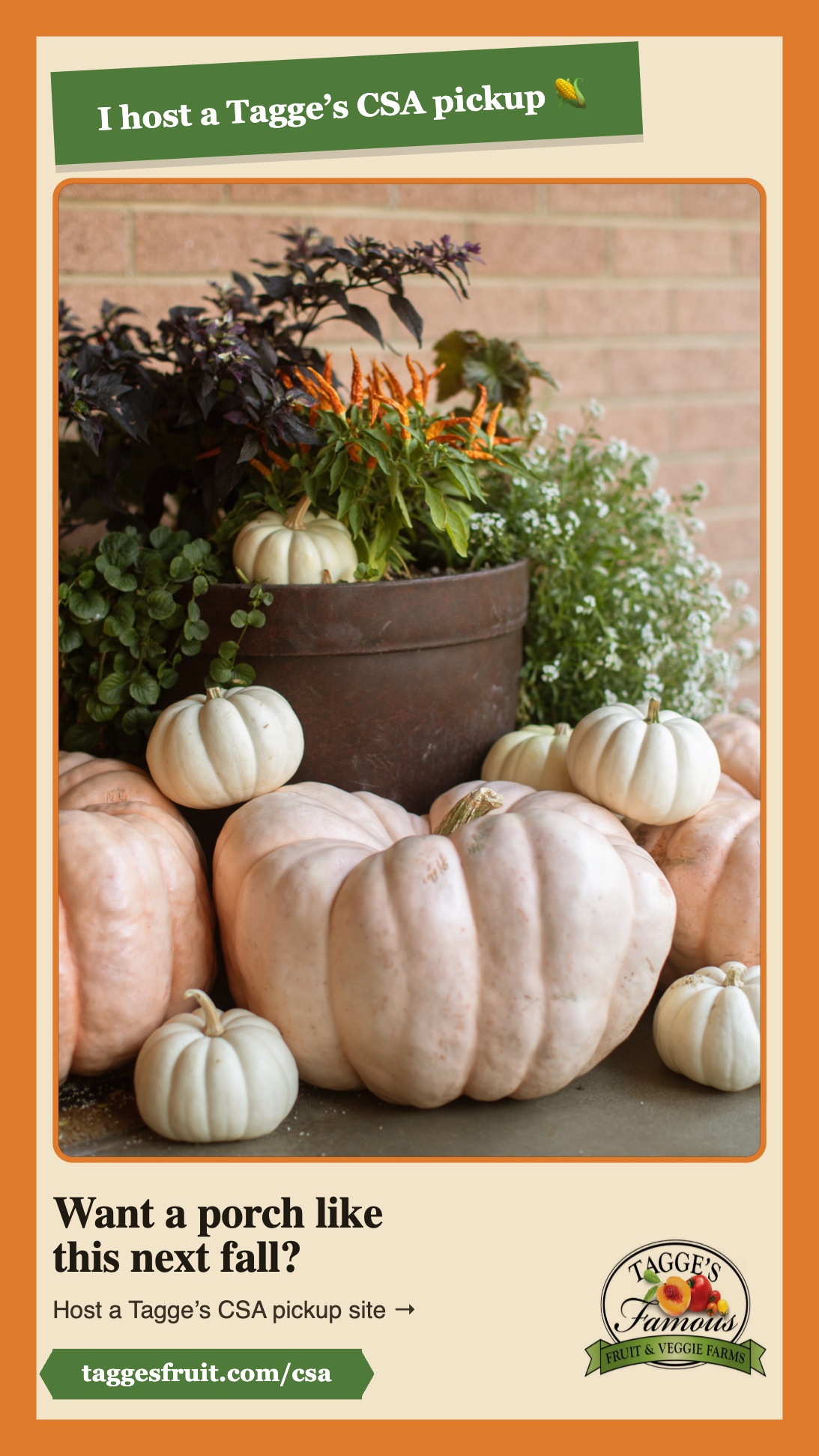 IG story — full-frame pumpkin porch