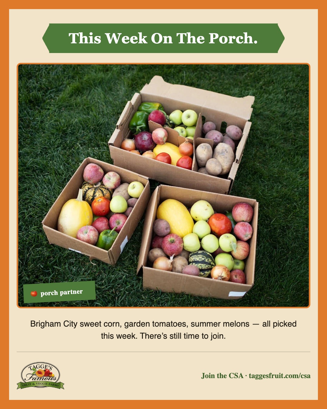 Feed Mid-Season 4:5 — This Week On The Porch.