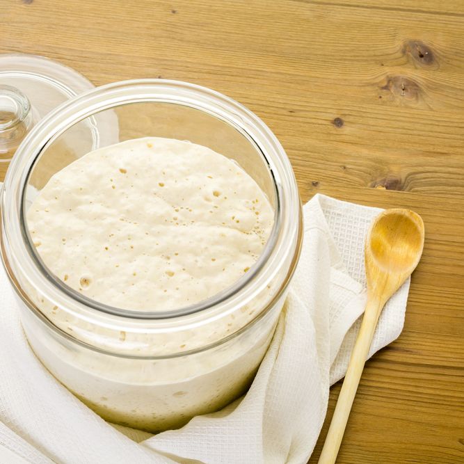 Bubbly sourdough starter risen to the top of a glass jar on a wooden table with a white towel and wooden spoon.