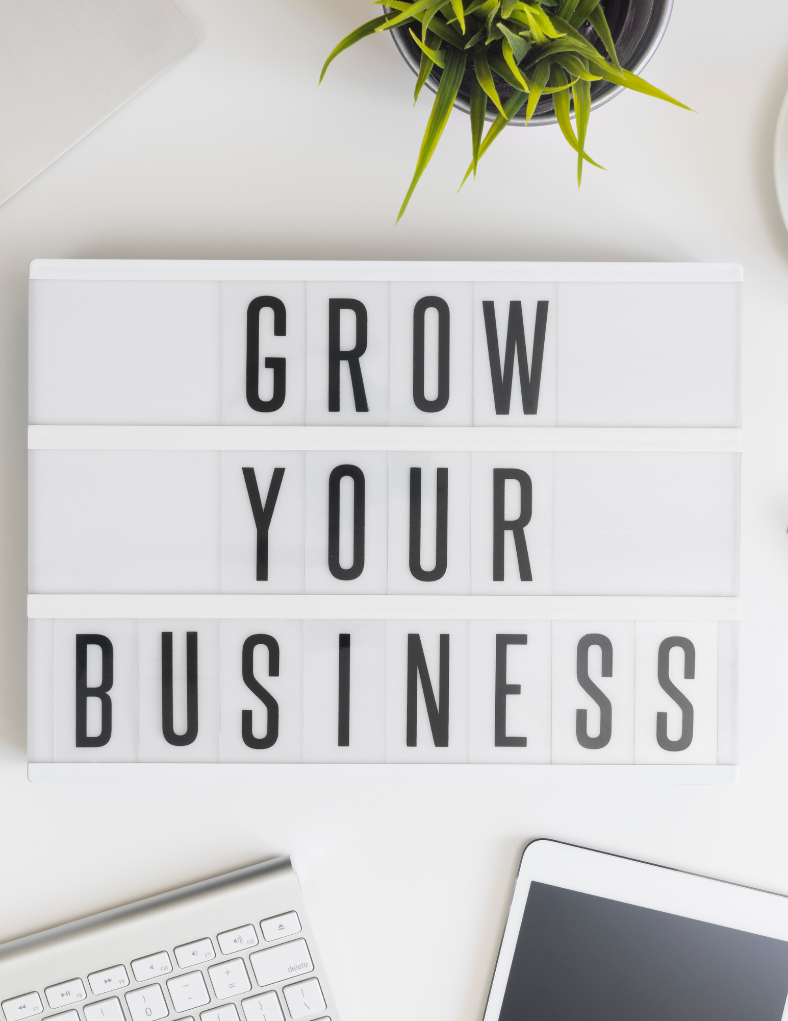 Maximizing Market Expansion: Strategies for Global Growth