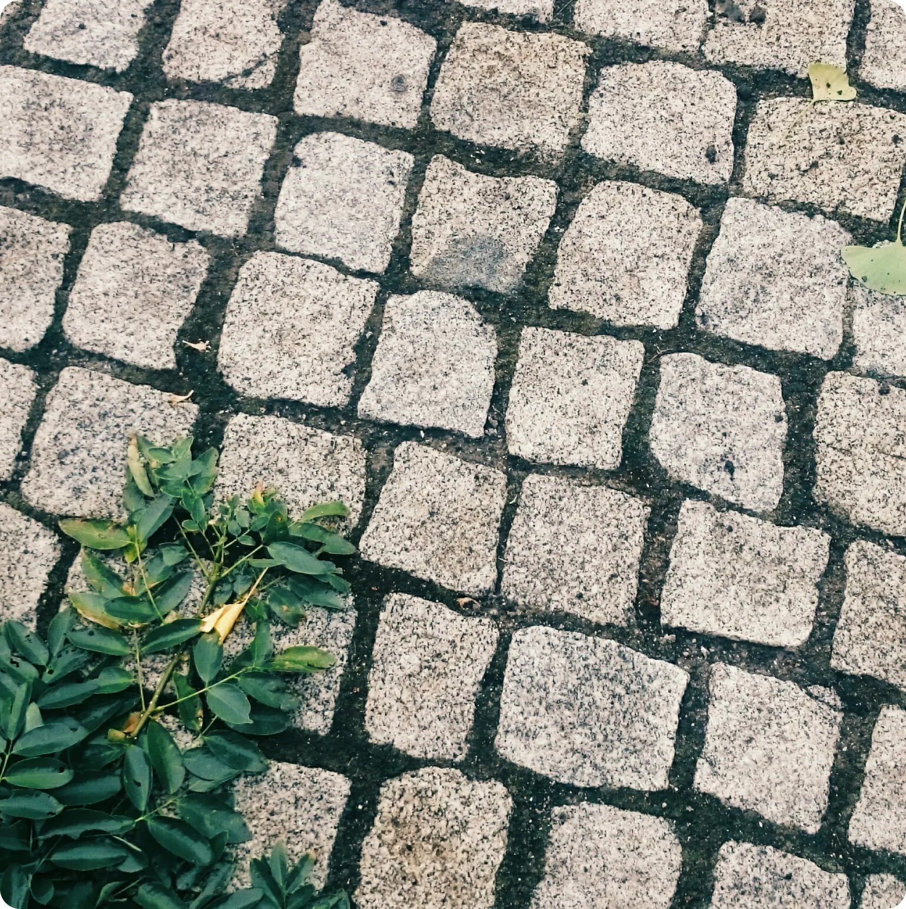 brostein og belegningsstein