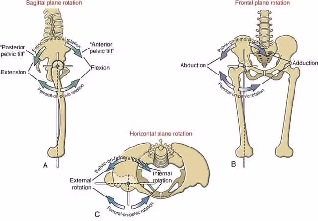 Hip Internal Rotation – Manipulating Joints Above and Below – POST COMPETITIVE INSIGHT