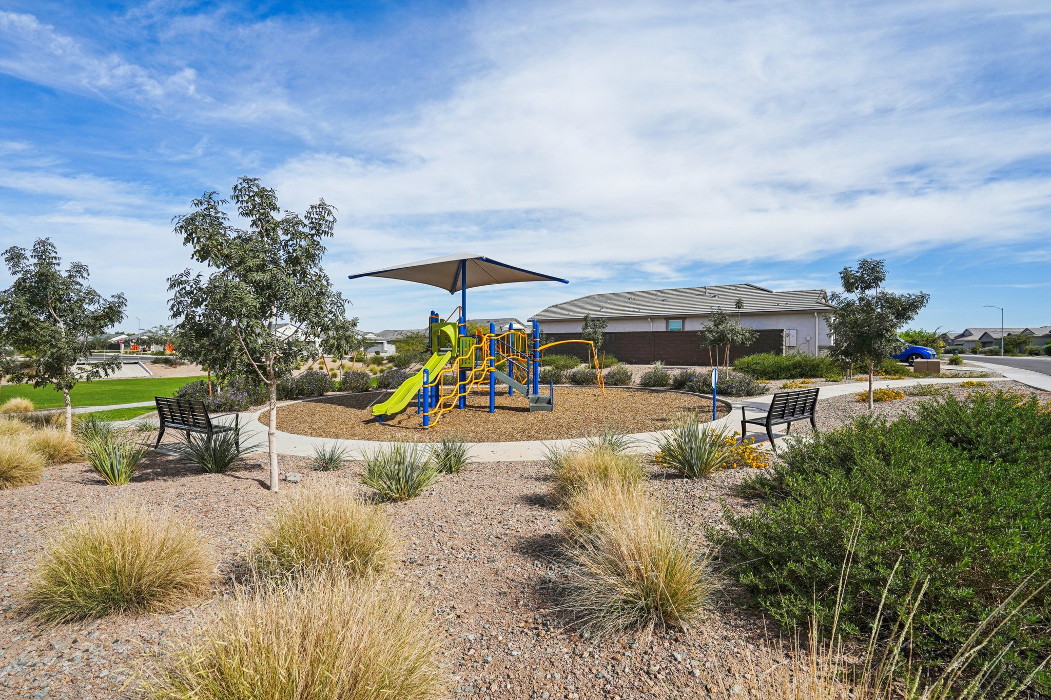 Sidewalk and grassy area