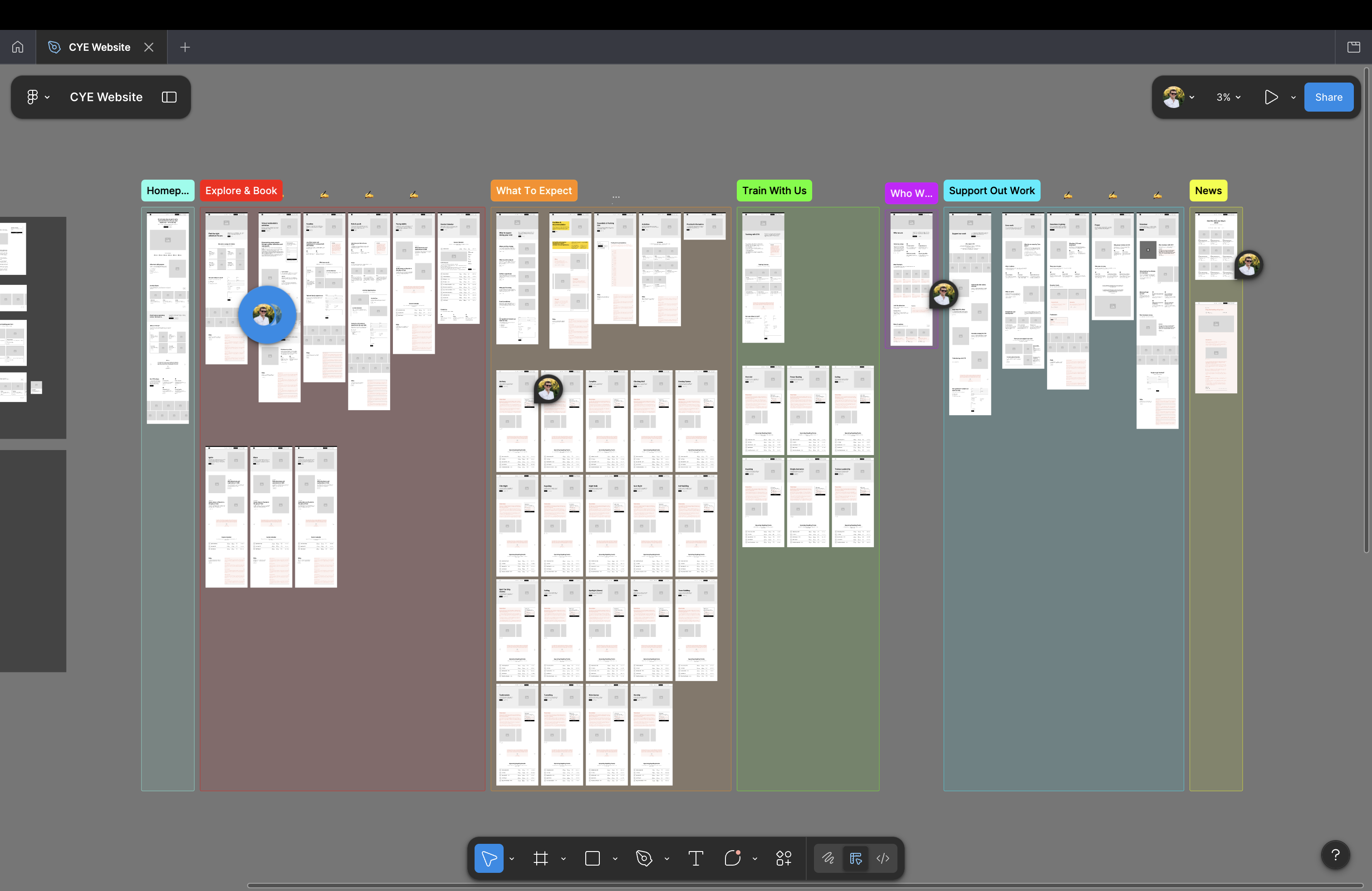 CYE website wire-framing and content planning.