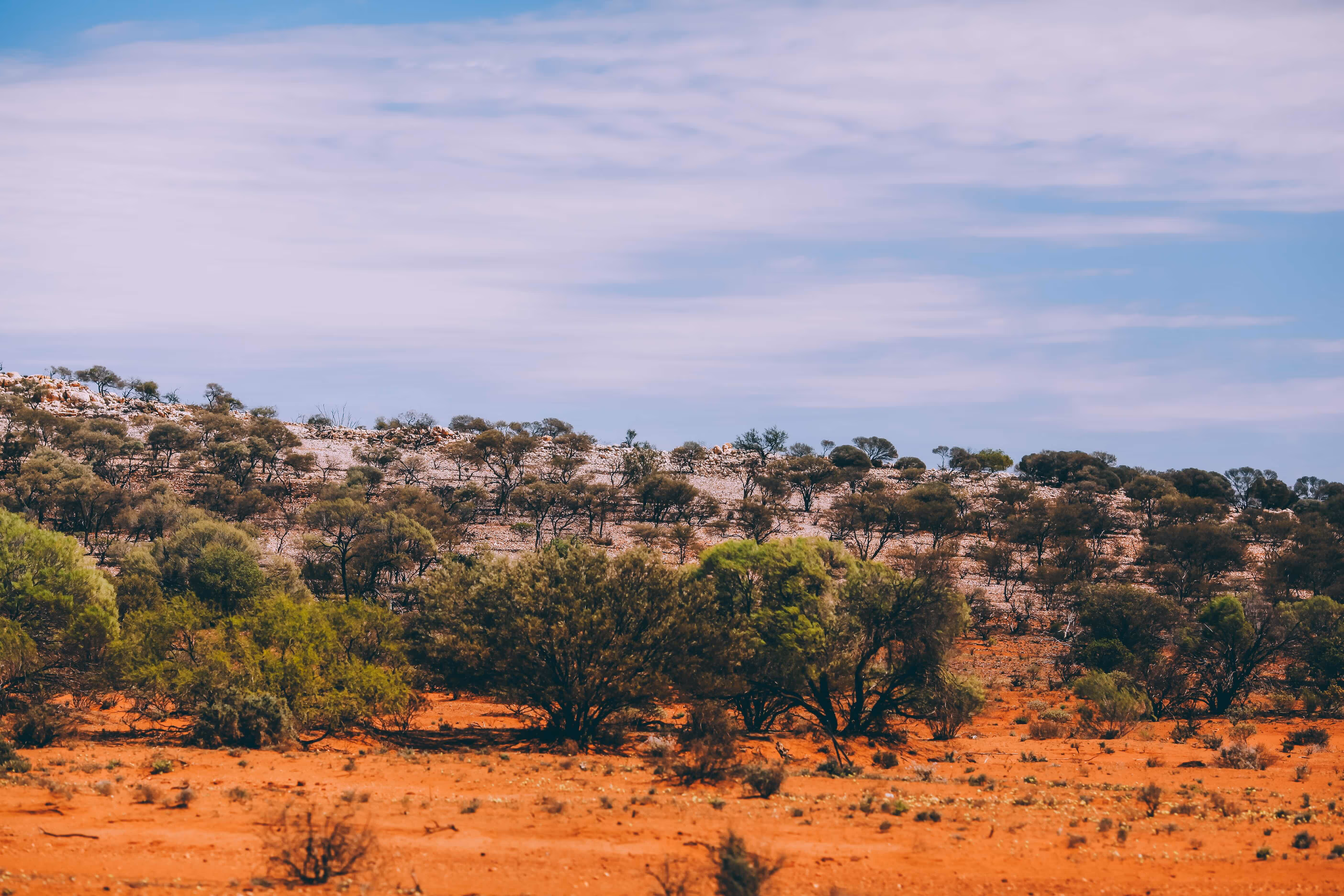 [background image] image of a farm landscape (for a food and agtech)