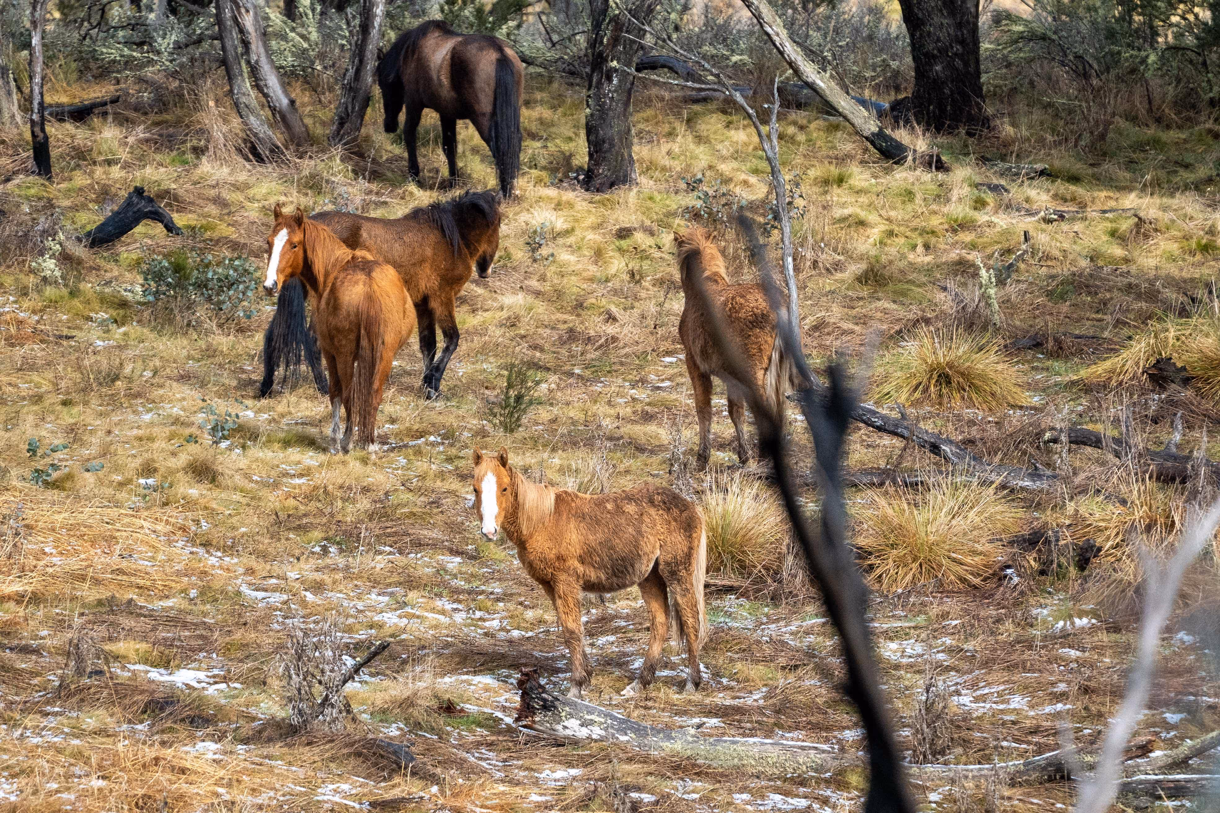 image of roofing equipment