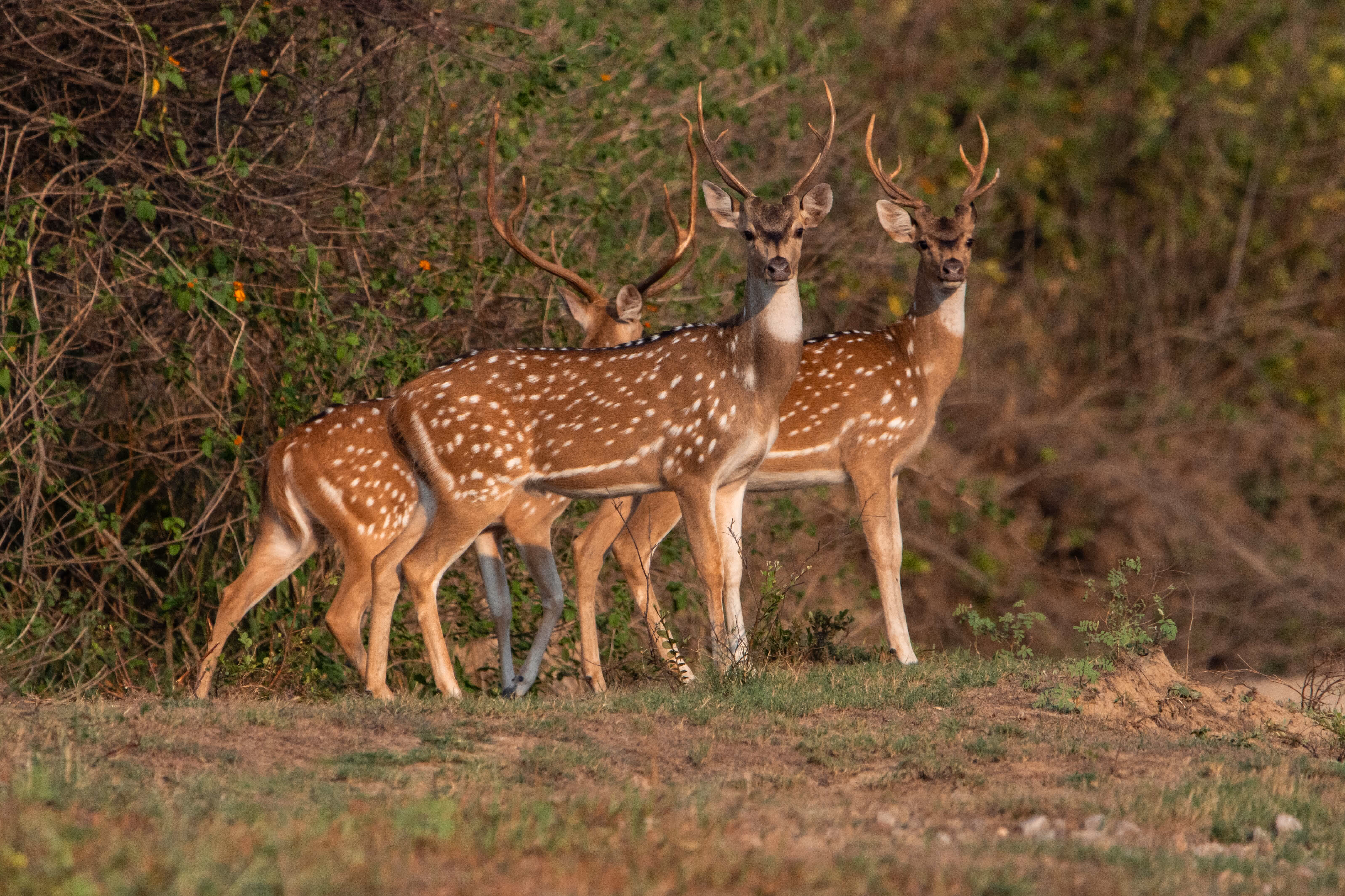 [background image] image of a farm landscape (for a food and agtech)
