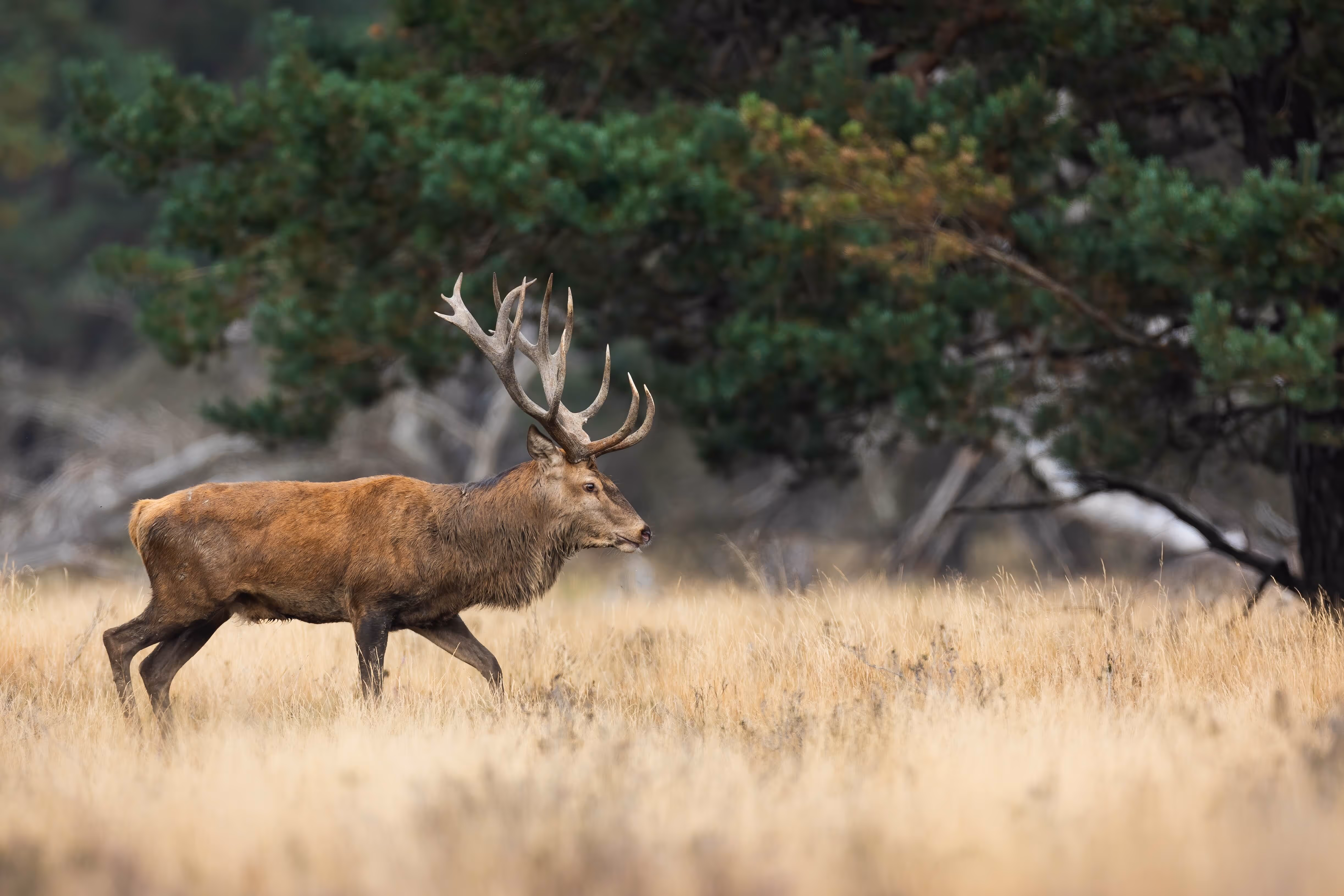 [team in action for general contractor]