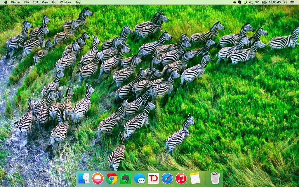 Yosemite - a realistic design of lush green grasses and a dazzle of zebras
