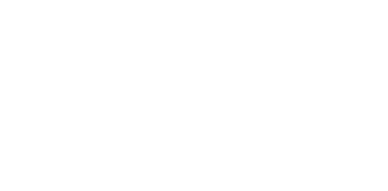 Wichita Logo