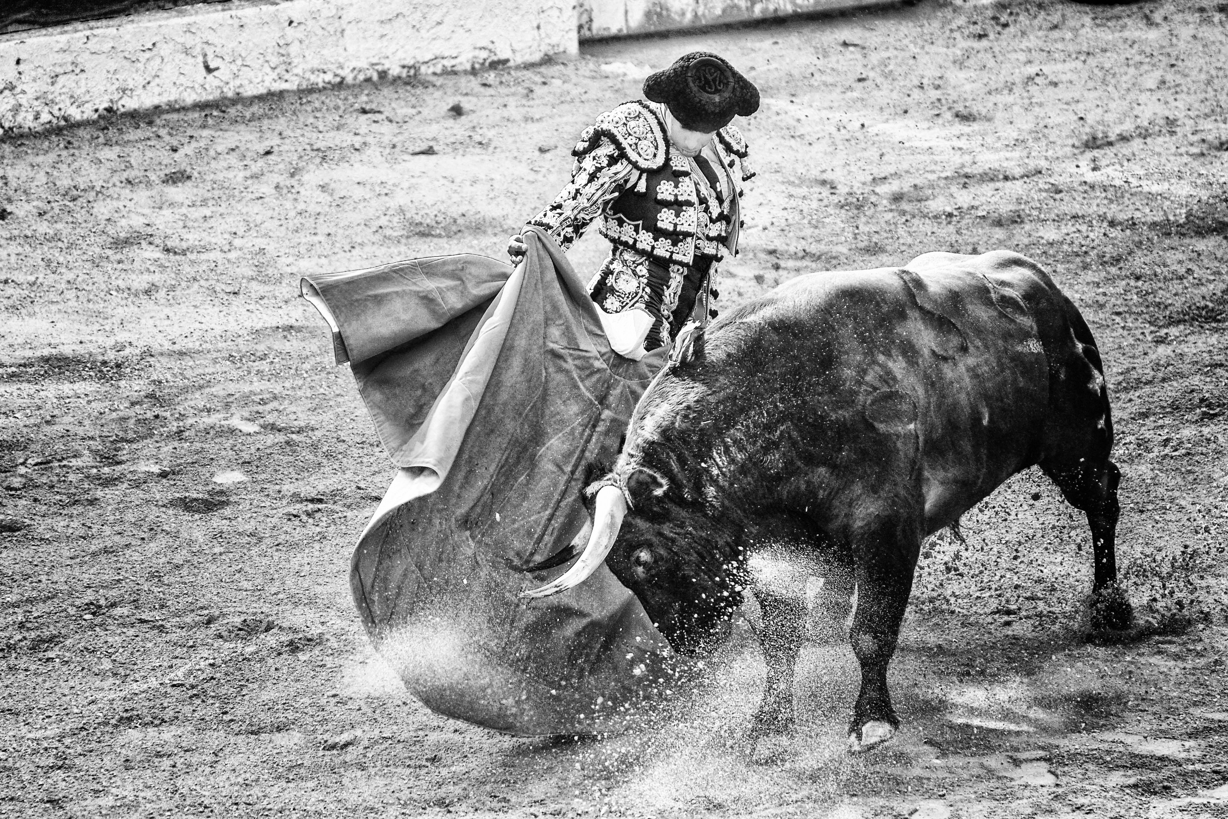 Matador in traditional costume performing a bullfight, holding a cape as the bull charges in an arena.