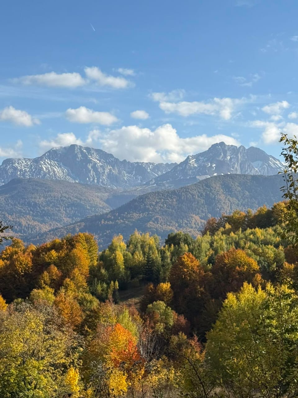 image of legal contract templates (for a legal tech)