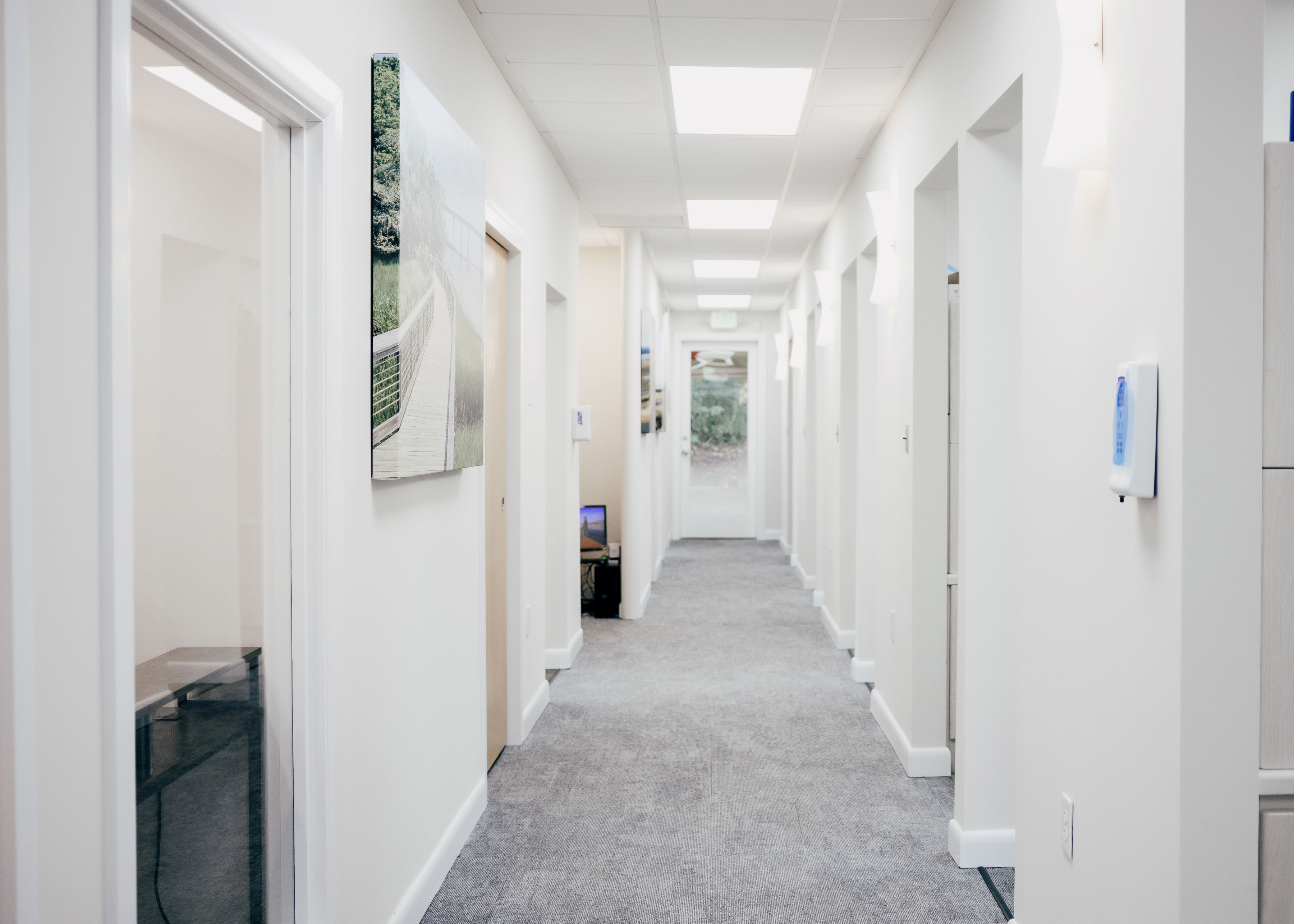 Bright, clean hallway with white walls, gray carpet, multiple doors, and nature-themed artwork on the walls.