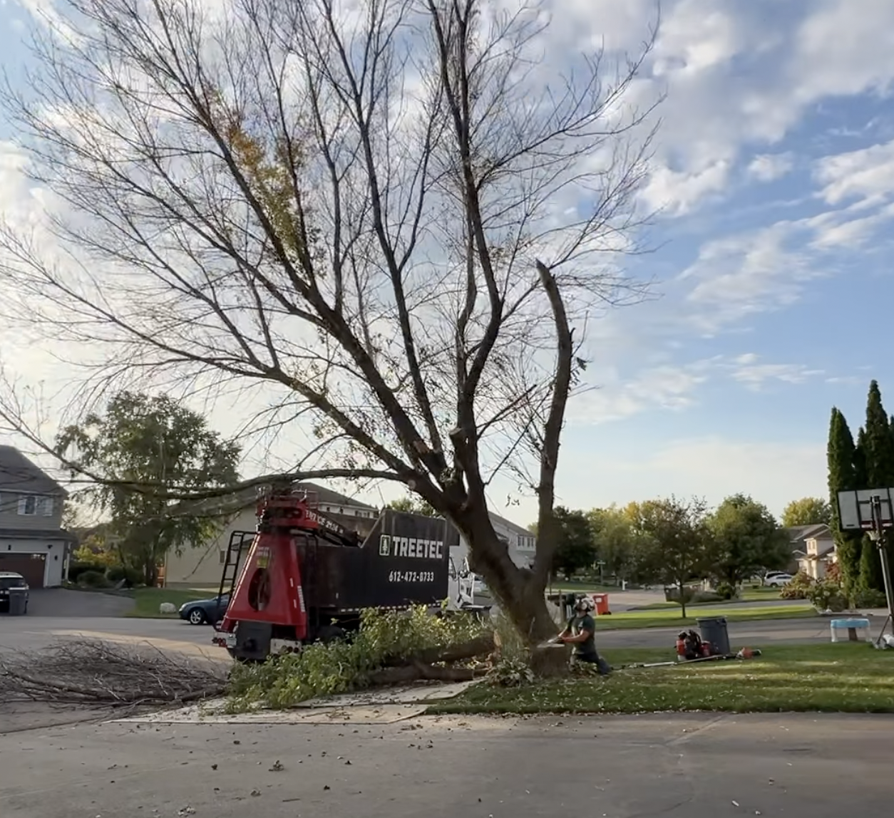 Worker cutting a large tree trunk near a TREETEC truck in a suburban neighborhood on a sunny day.