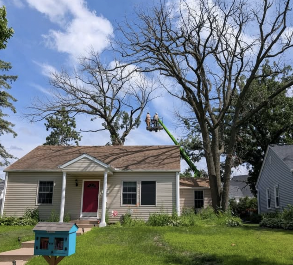 Two workers in safety gear pruning large bare tree branches next to a beige house with a red door using a green cherry picker on a sunny day.