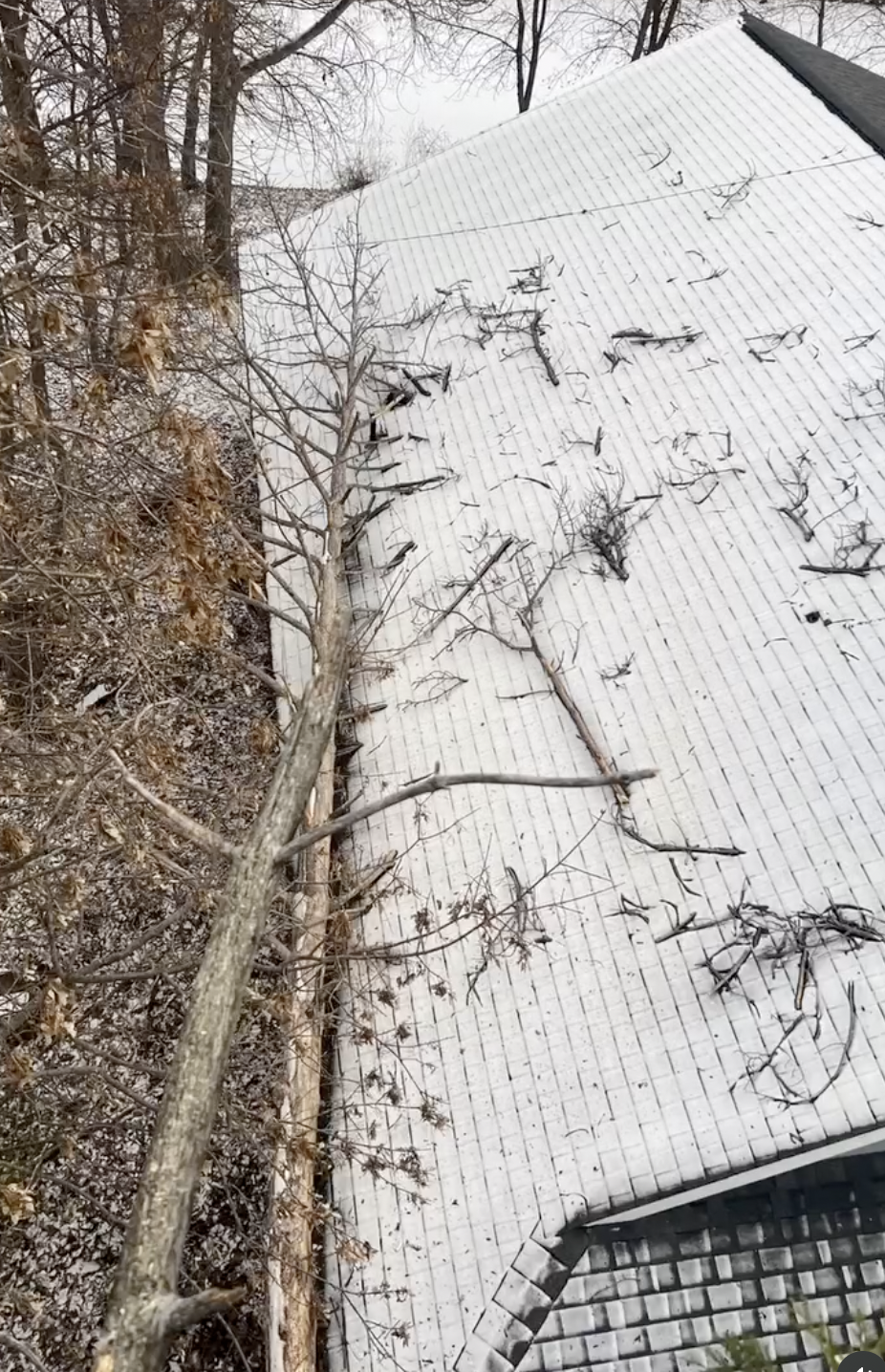 Snow-covered rooftop with scattered tree branches and a fallen tree leaning against the building.