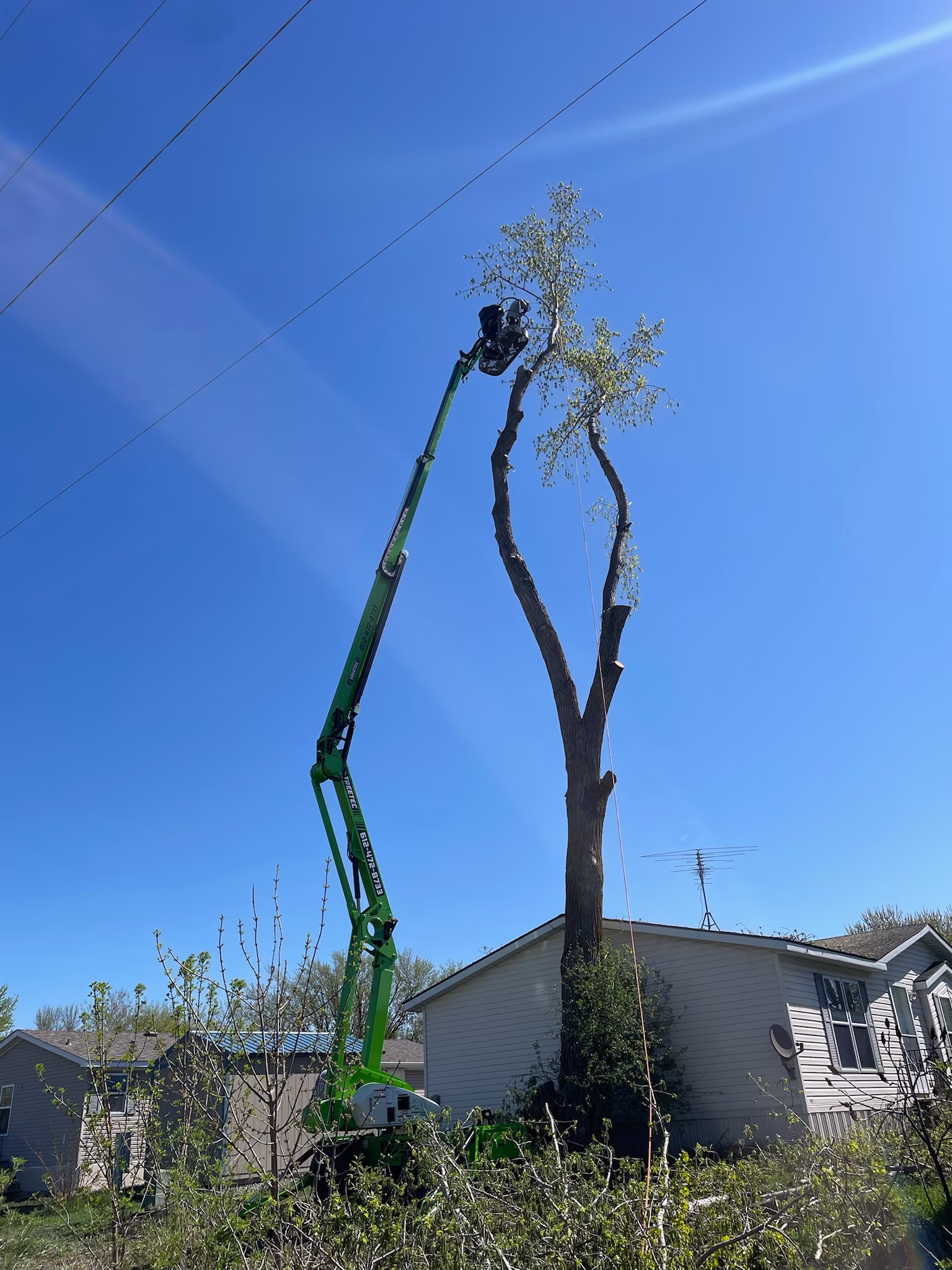Worker in a green aerial lift trimming the top branches of a tall tree next to a house under a clear blue sky.