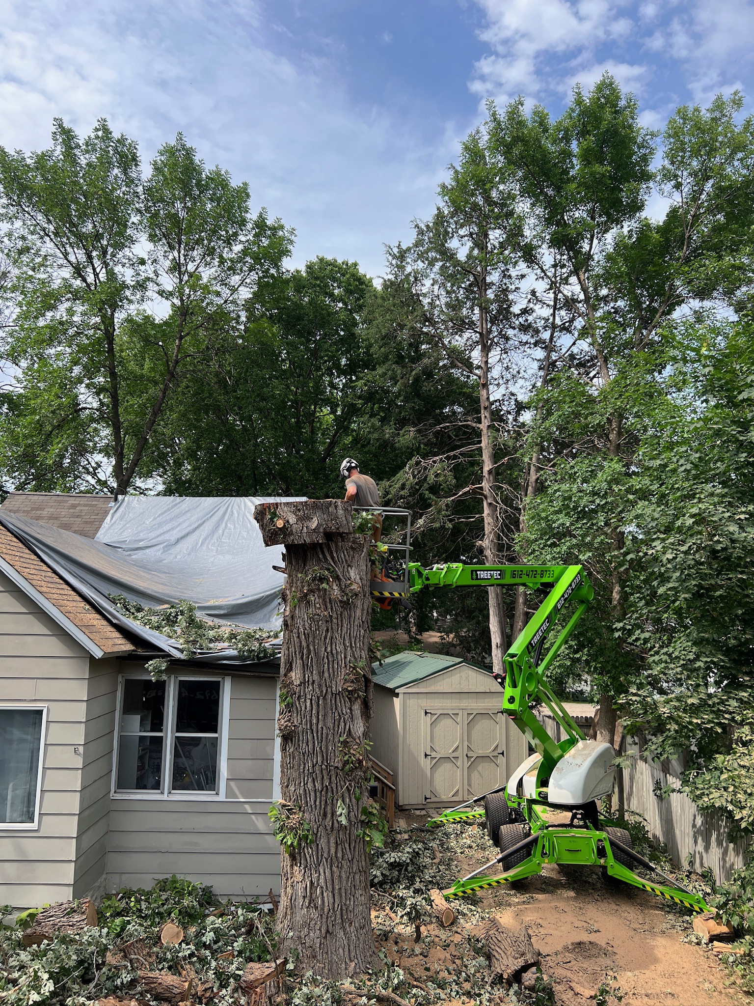 Worker on a green lift trimming a large tree trunk next to a house covered with a tarp under a partly cloudy sky.