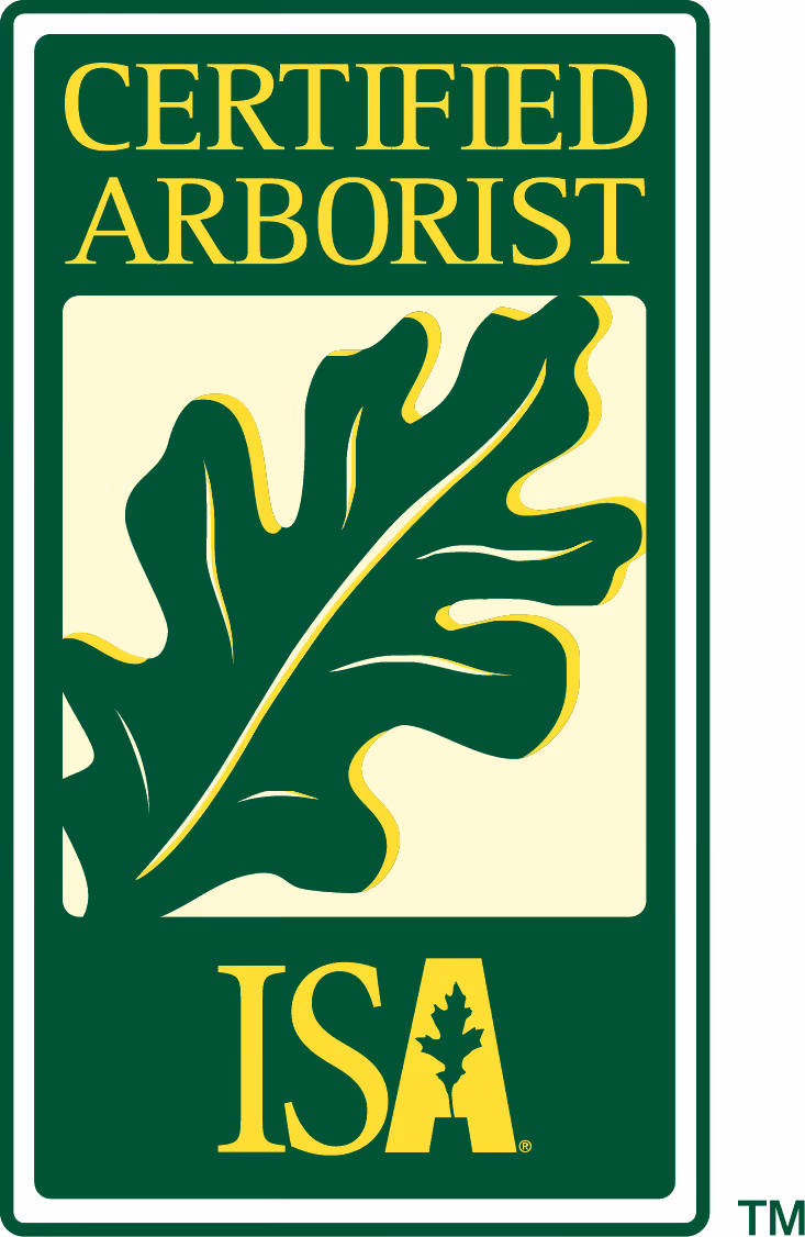 Logo with a green oak leaf and yellow text saying CERTIFIED ARBORIST and ISA.