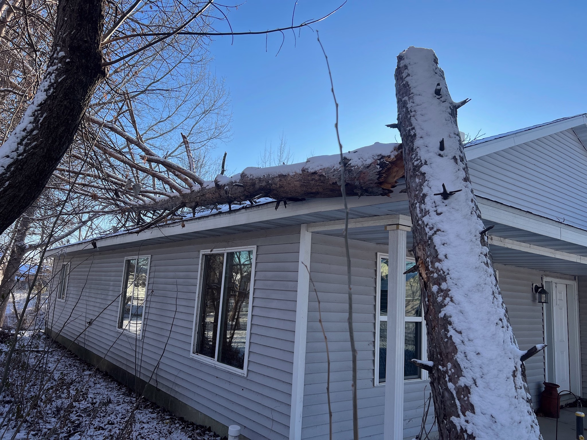 Emergency Tree Service