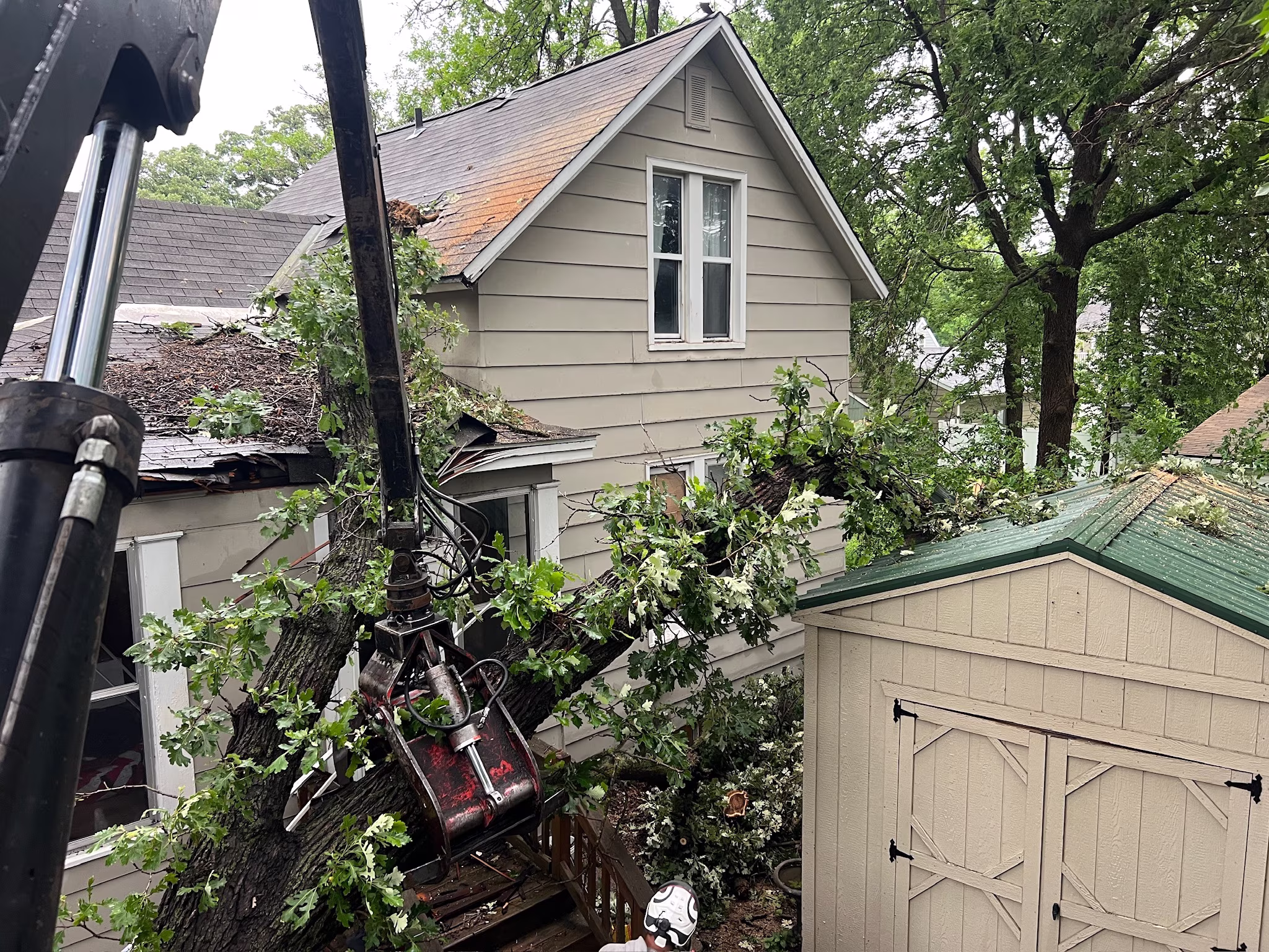 Storm Damaged Tree Cleanup