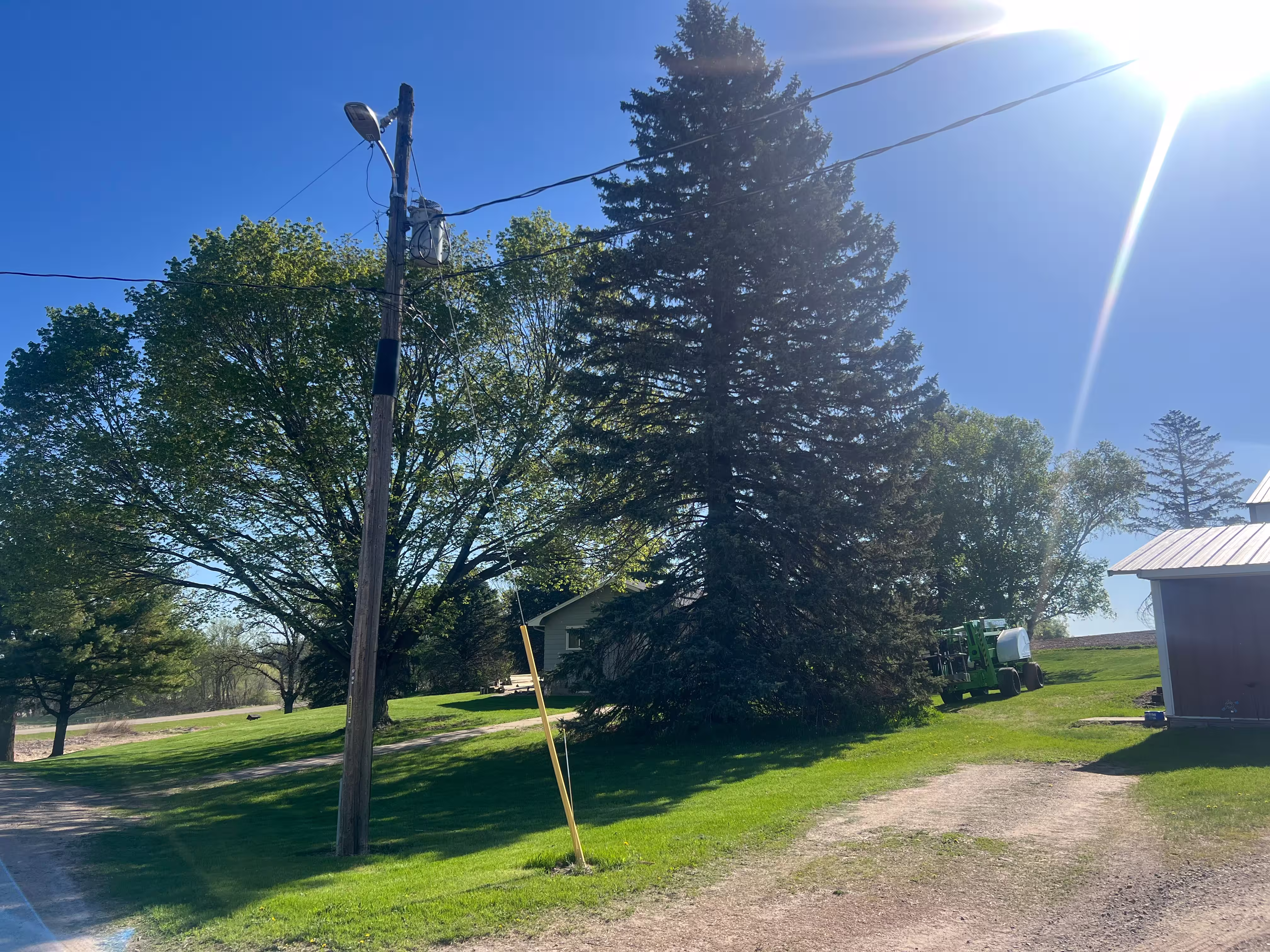 Tree Health & Risk Assessment