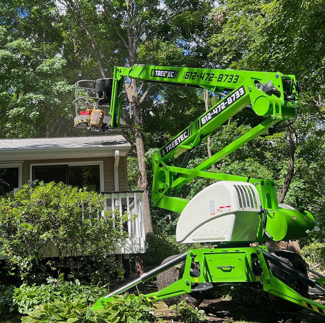 Do I Need a Permit to Remove a Tree in Minnesota? Here's What You Should Know