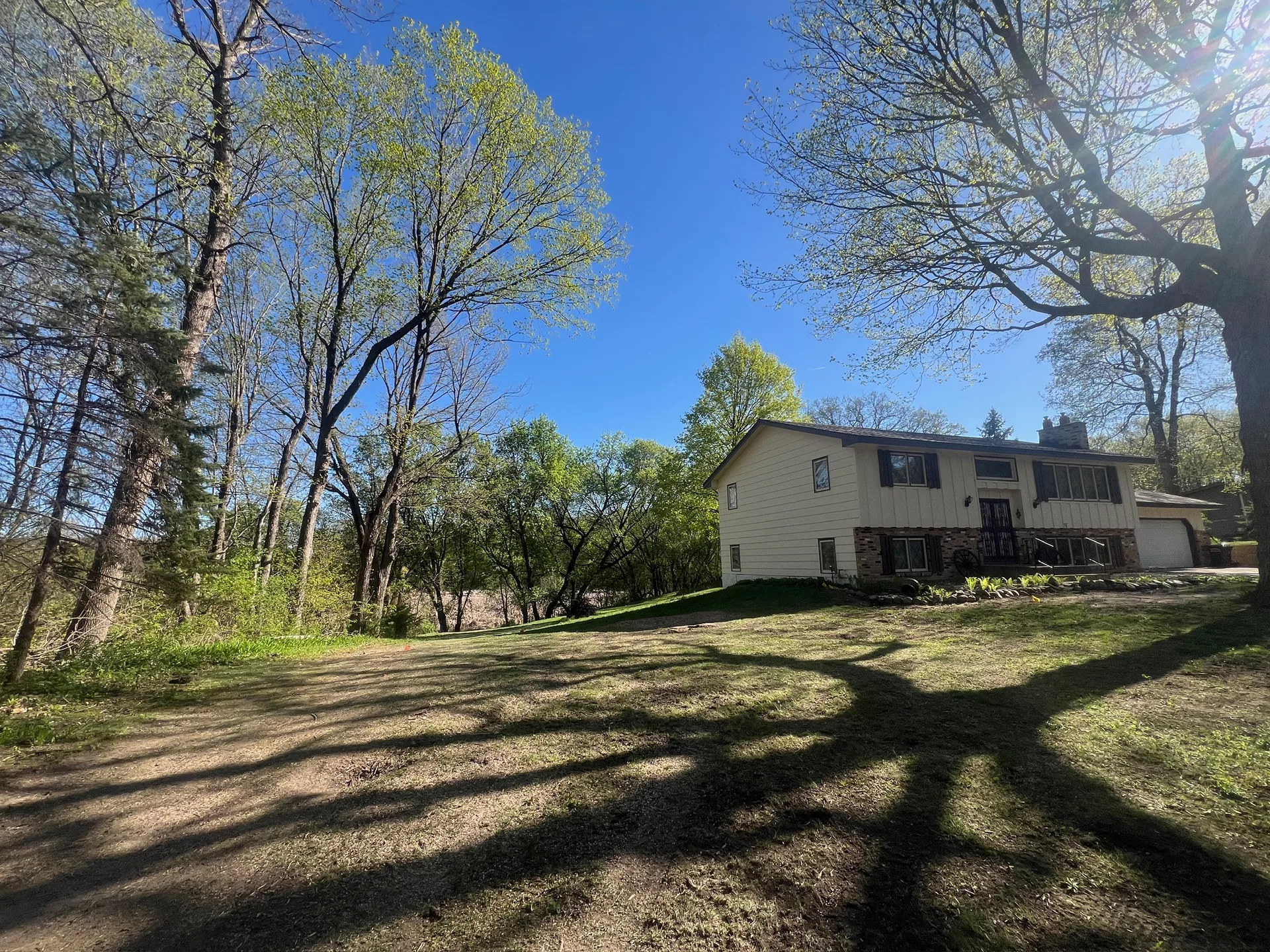7 Warning Signs a Tree Is About to Fall on Your Property