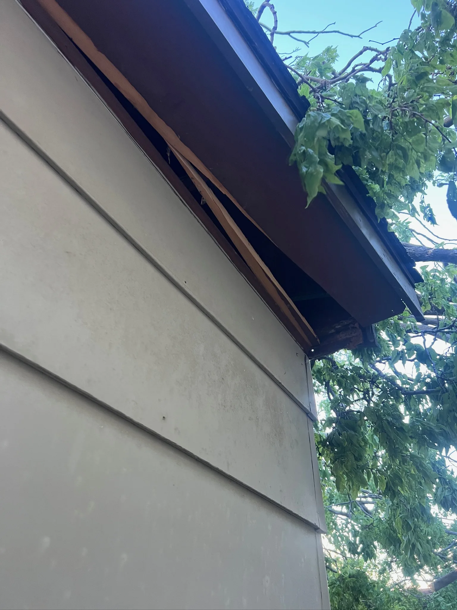 Does Homeowners Insurance Cover Tree Removal in Minnesota? What You Need to Know