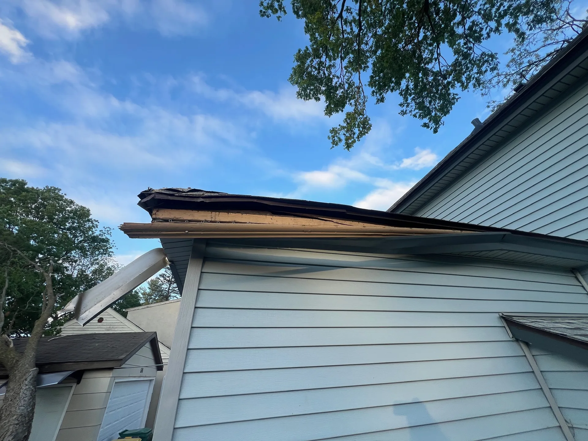 Does Homeowners Insurance Cover Tree Removal in Minnesota? What You Need to Know