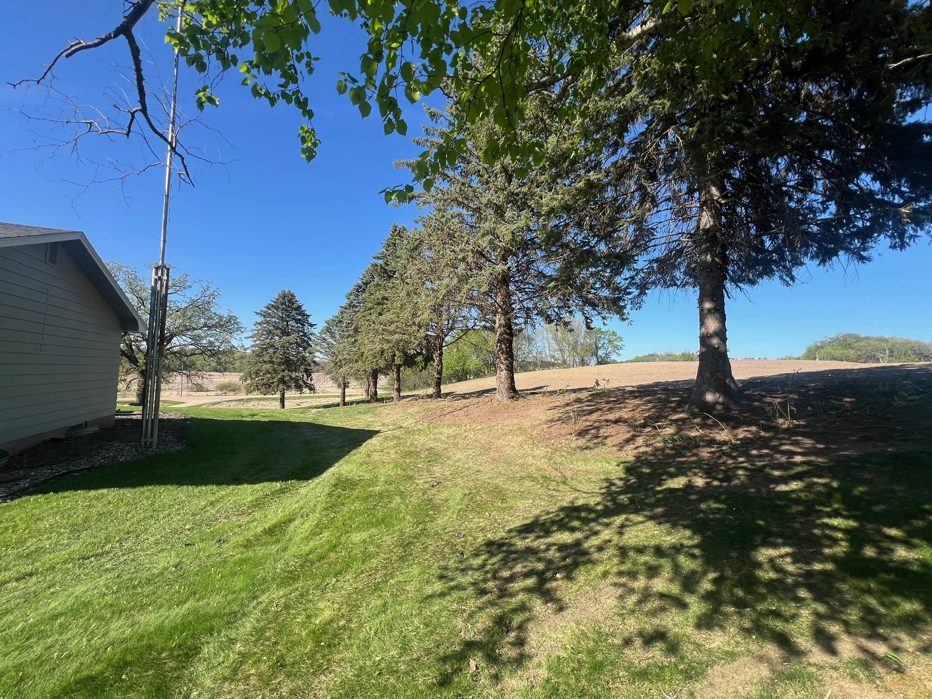 Is Land Clearing Worth It Before Building in Minnesota? What Homeowners Should Know