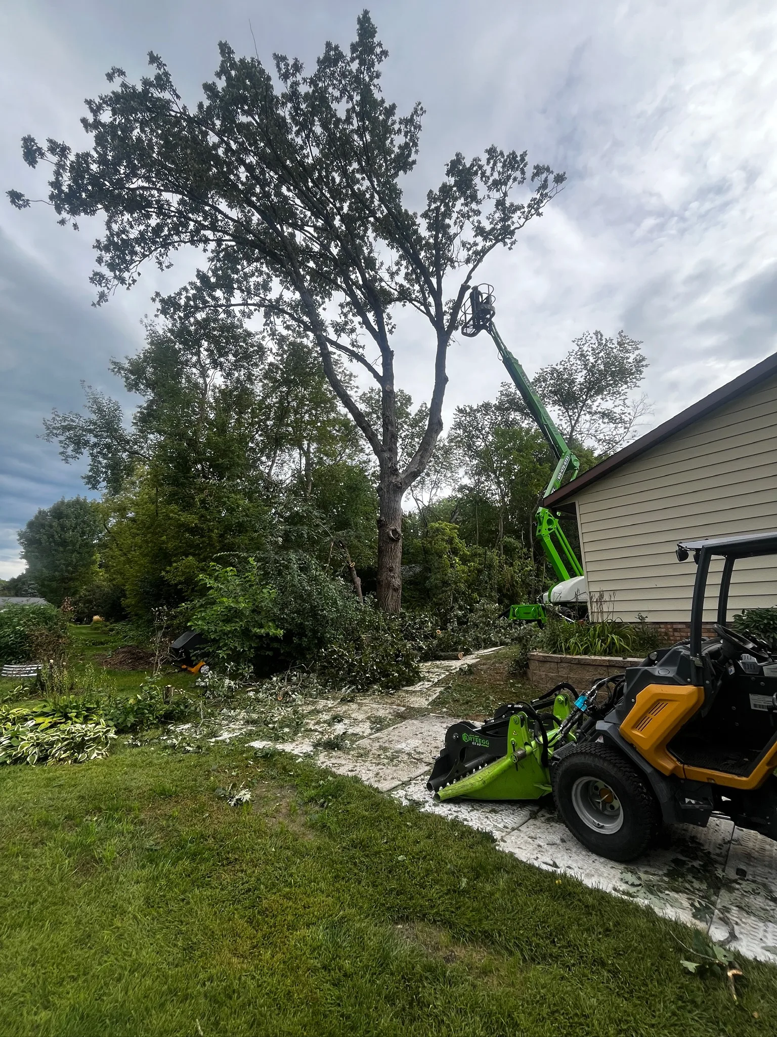 Is Land Clearing Worth It Before Building in Minnesota? What Homeowners Should Know