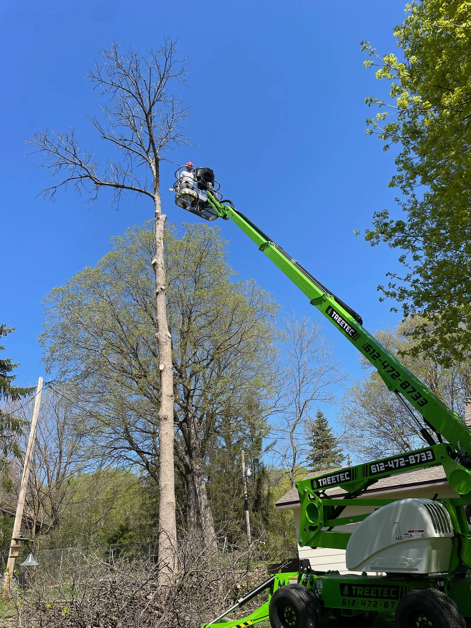 Fall Tree Prep: What Minnesota Homeowners Should Do Before the First Freeze