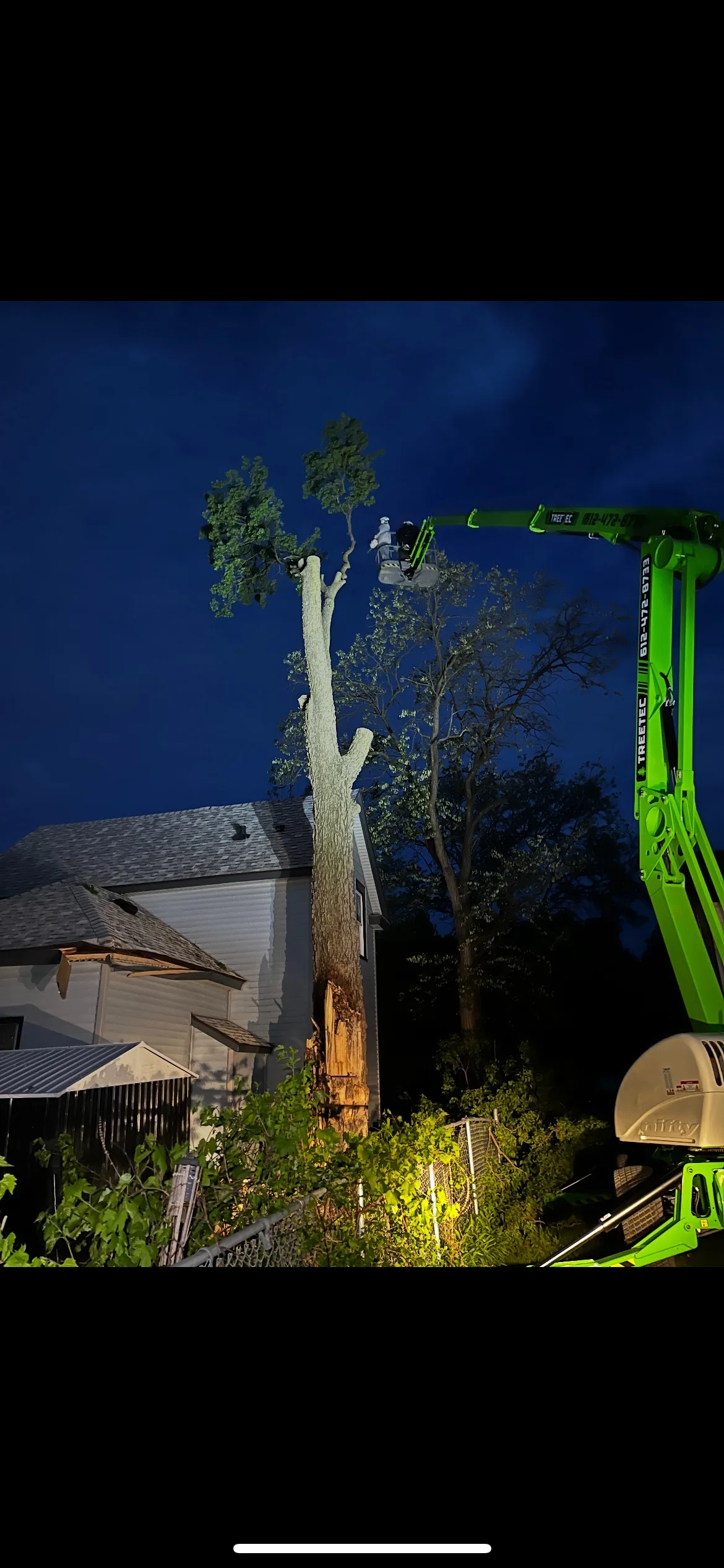 How Much Does Emergency Tree Removal Cost in Minnesota?