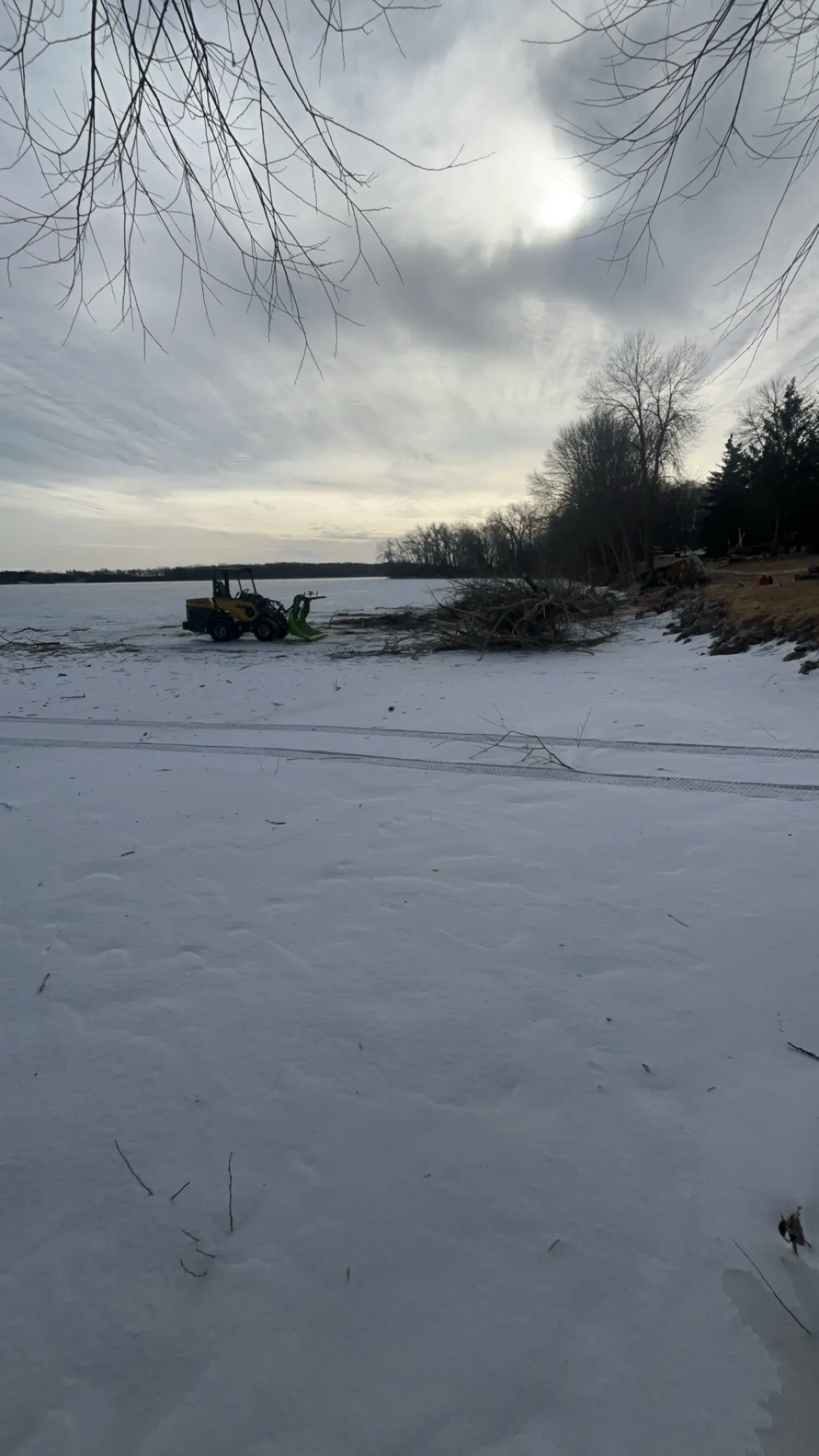 Why Hire a Certified Arborist for Tree Work? What Minnesota Homeowners Should Know