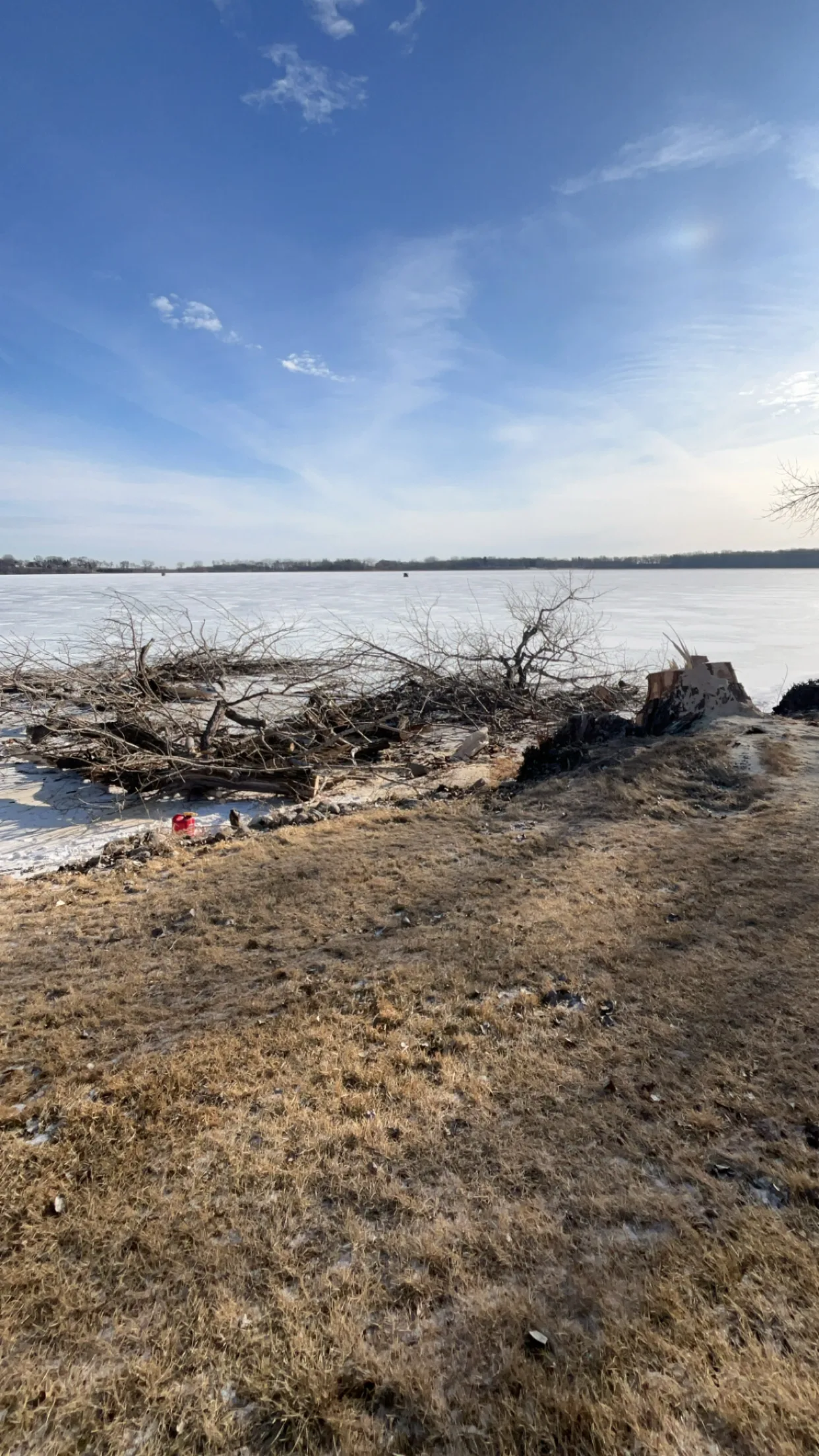 Why Hire a Certified Arborist for Tree Work? What Minnesota Homeowners Should Know